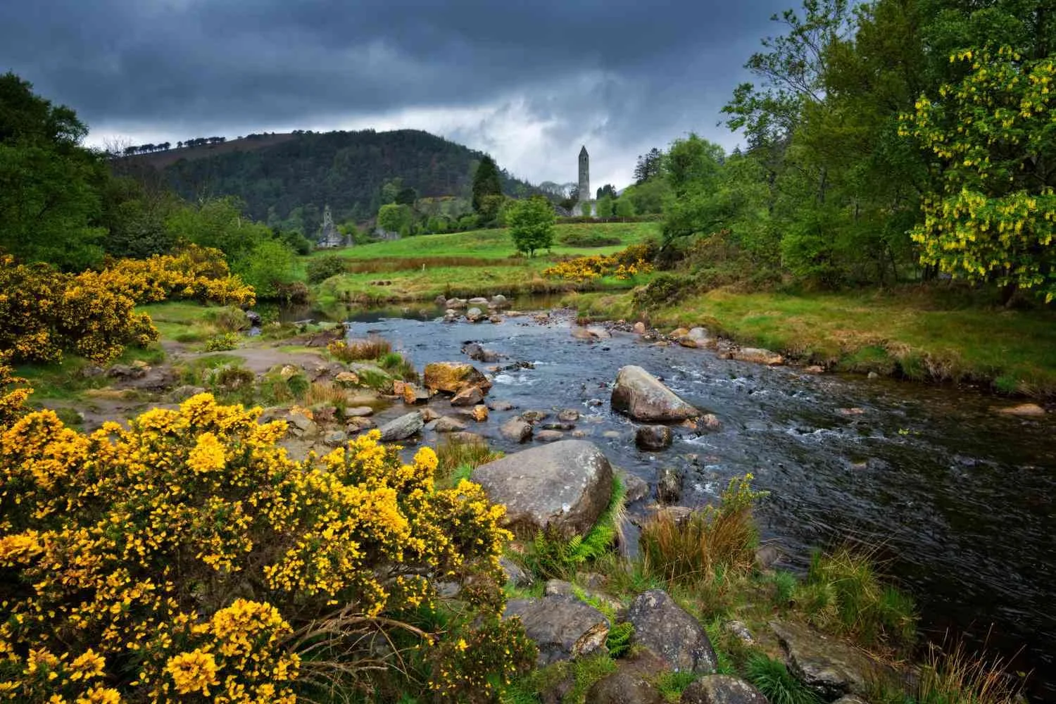 Wicklow Mountains landscape near Powerscourt Estate, County Wicklow, Ireland