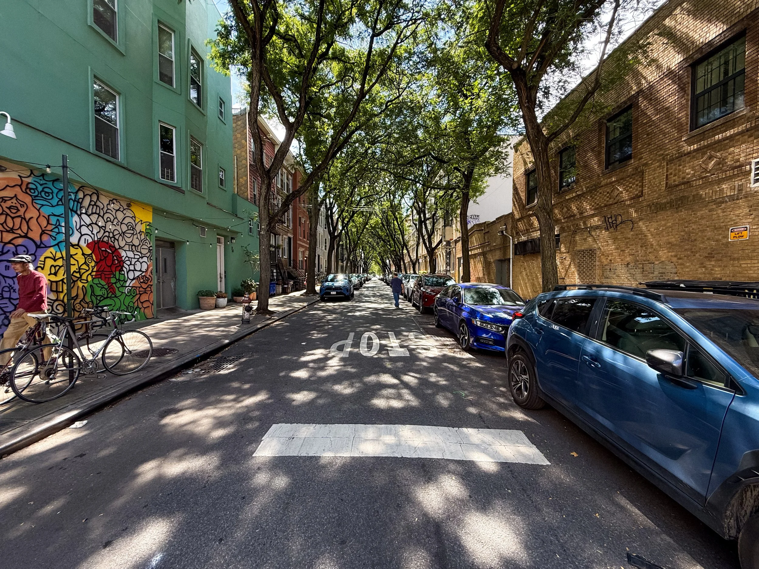Tree Lined Street in Greenpoint Brooklyn