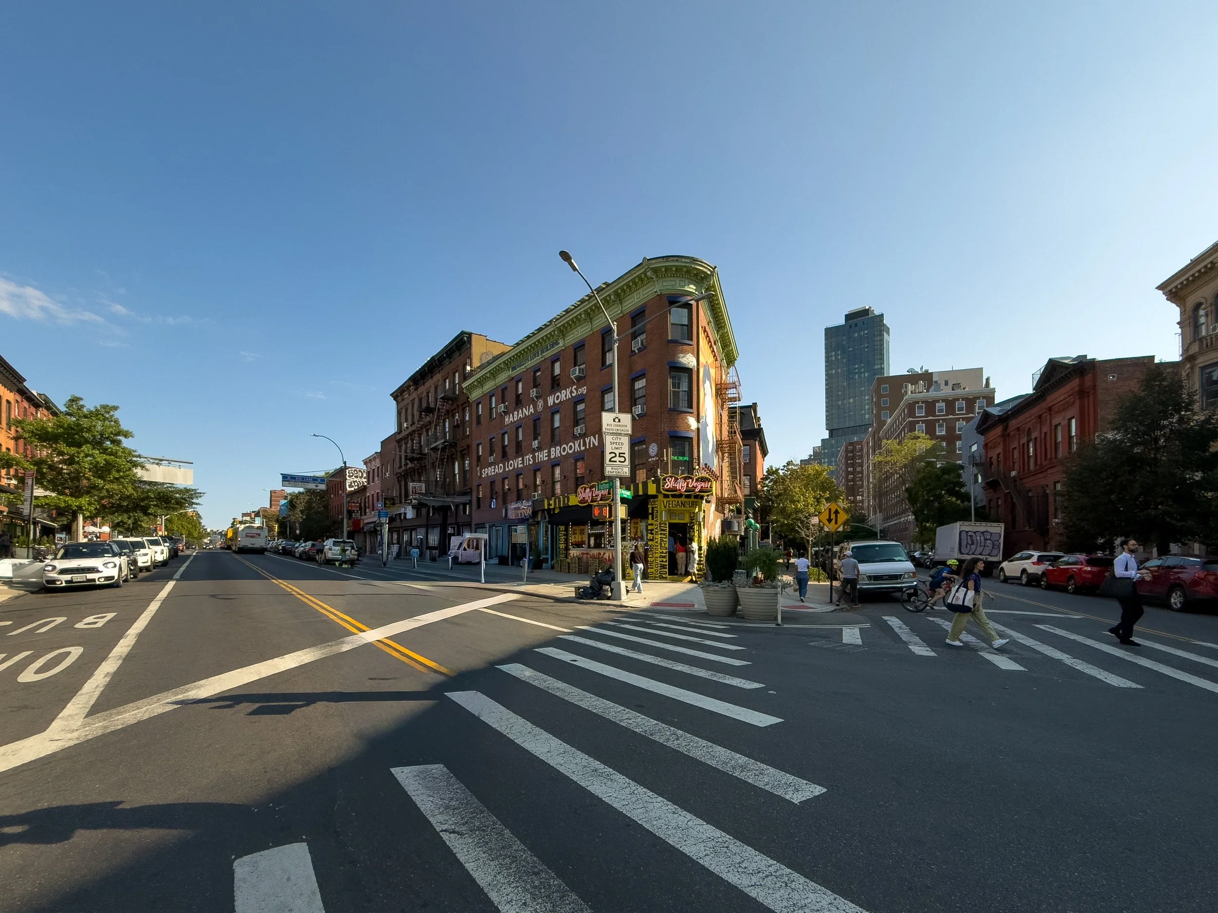 Fulton Street, Fort Greene, Brooklyn Neighborhood Spotlight