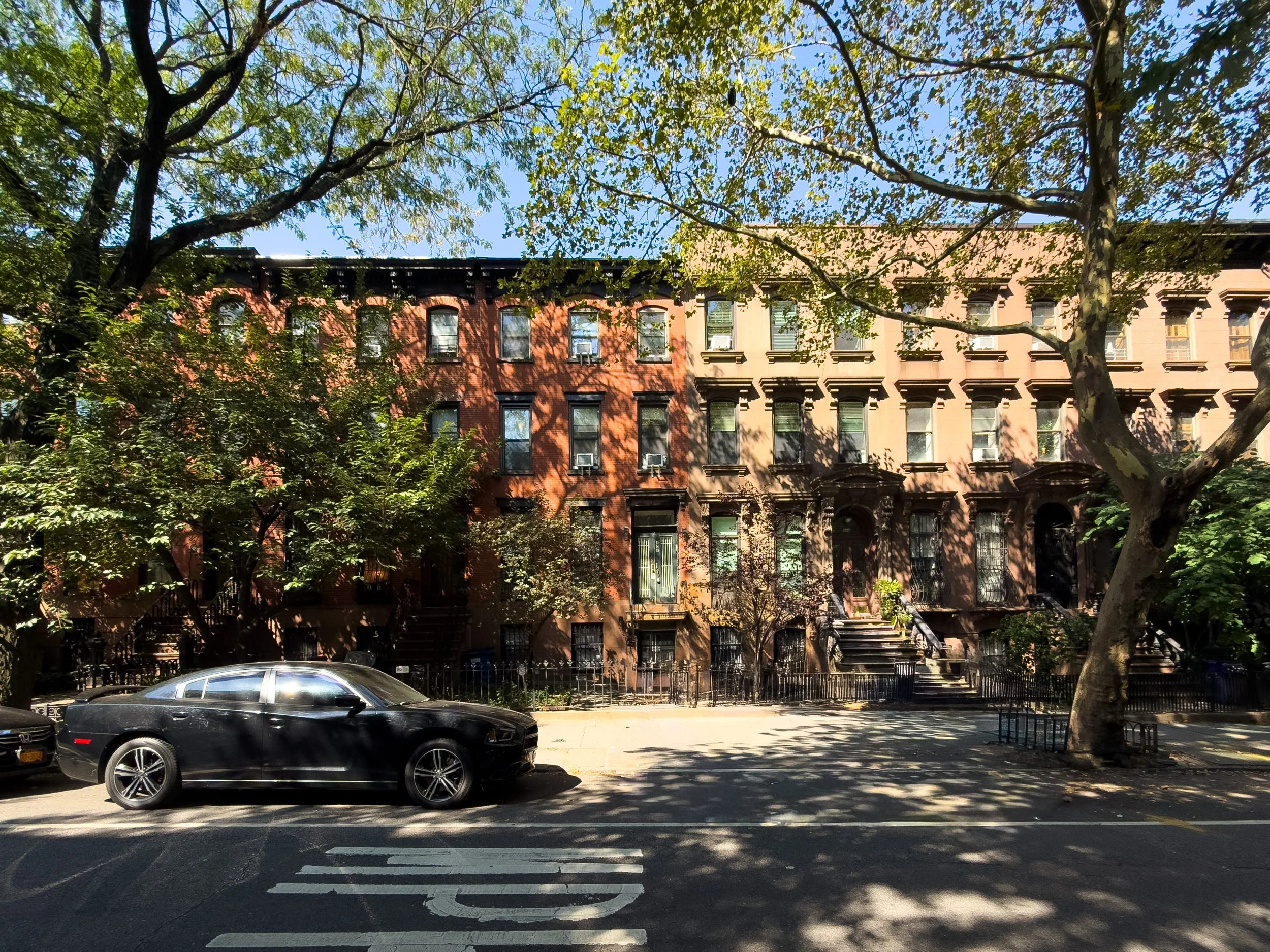 Tree-lined block with three-story townhouses and brownstones in Prospect Heights, Brooklyn, NYC, highlighting the neighborhood’s historic residential streetscape.