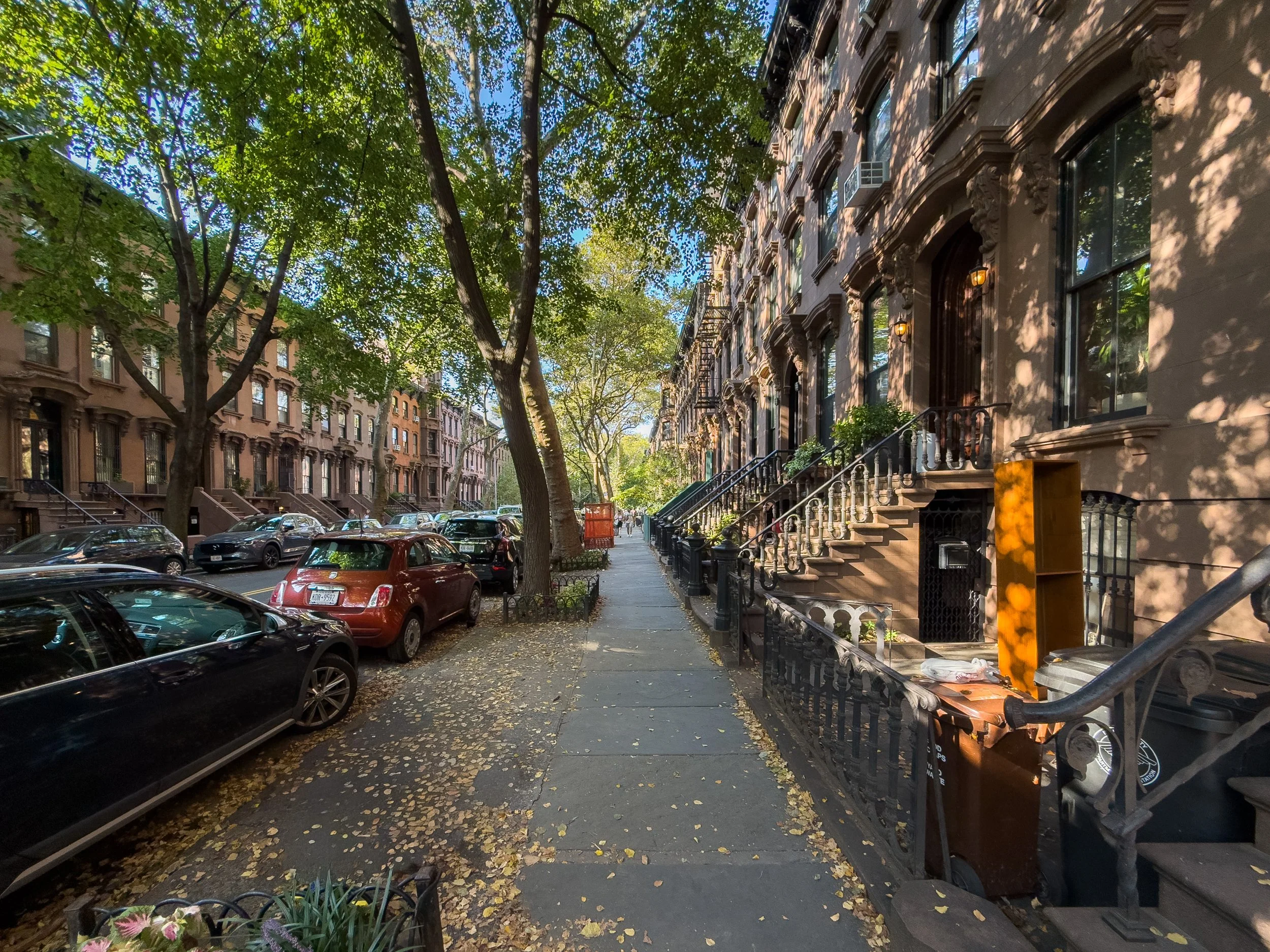 Historic brownstones on a tree-lined street in Fort Greene, Brooklyn, NYC, illustrating the neighborhood’s residential architecture and real estate character.