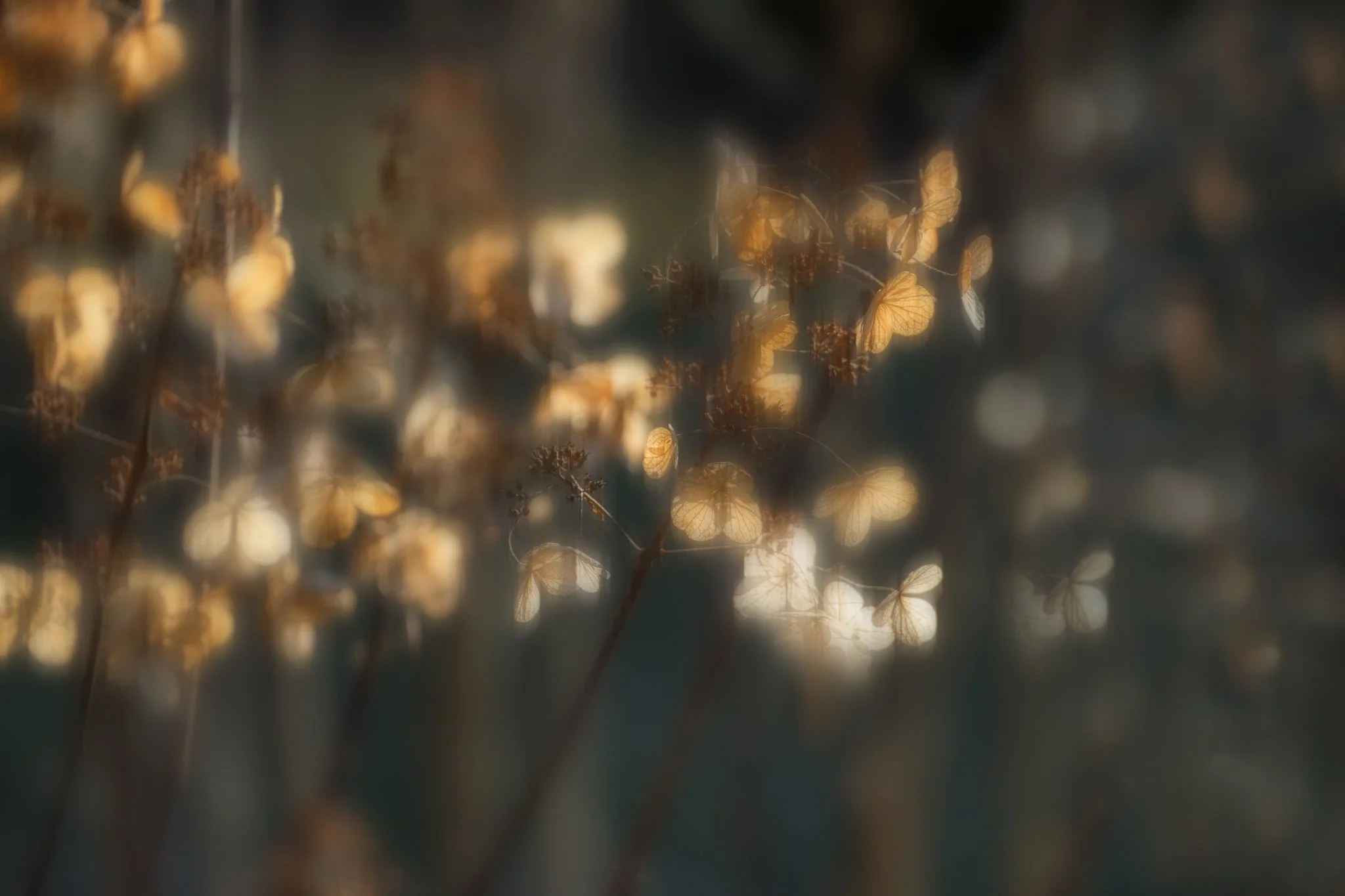 More Tools Than Ever—Why Photography Still Comes Down to Seeing