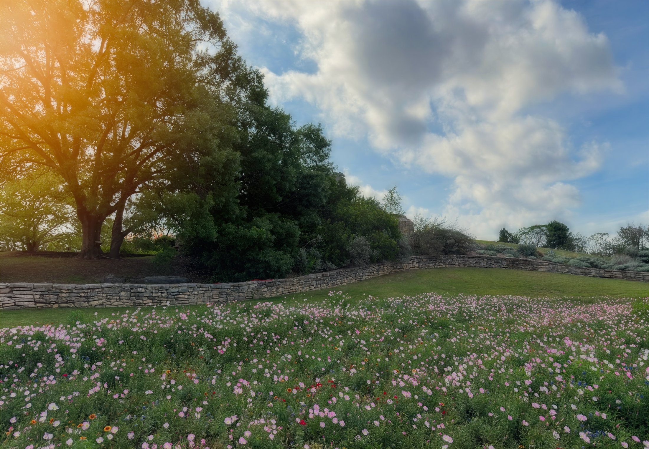 How to Photograph Gardens Beautifully