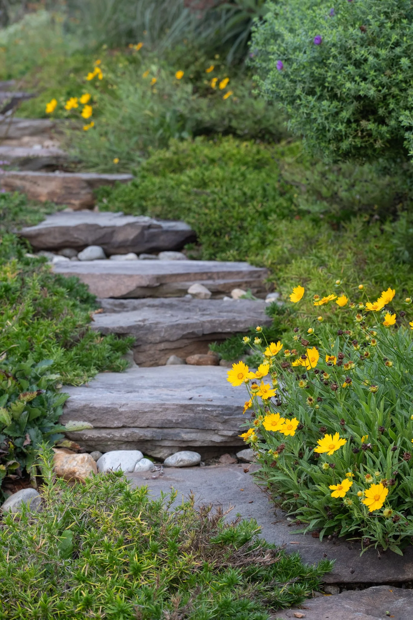 BackyardBounty.Pathway-18.jpg