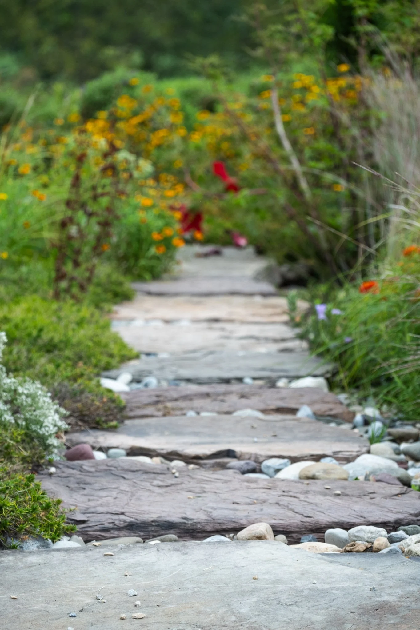 BackyardBounty.Pathway-7.jpg