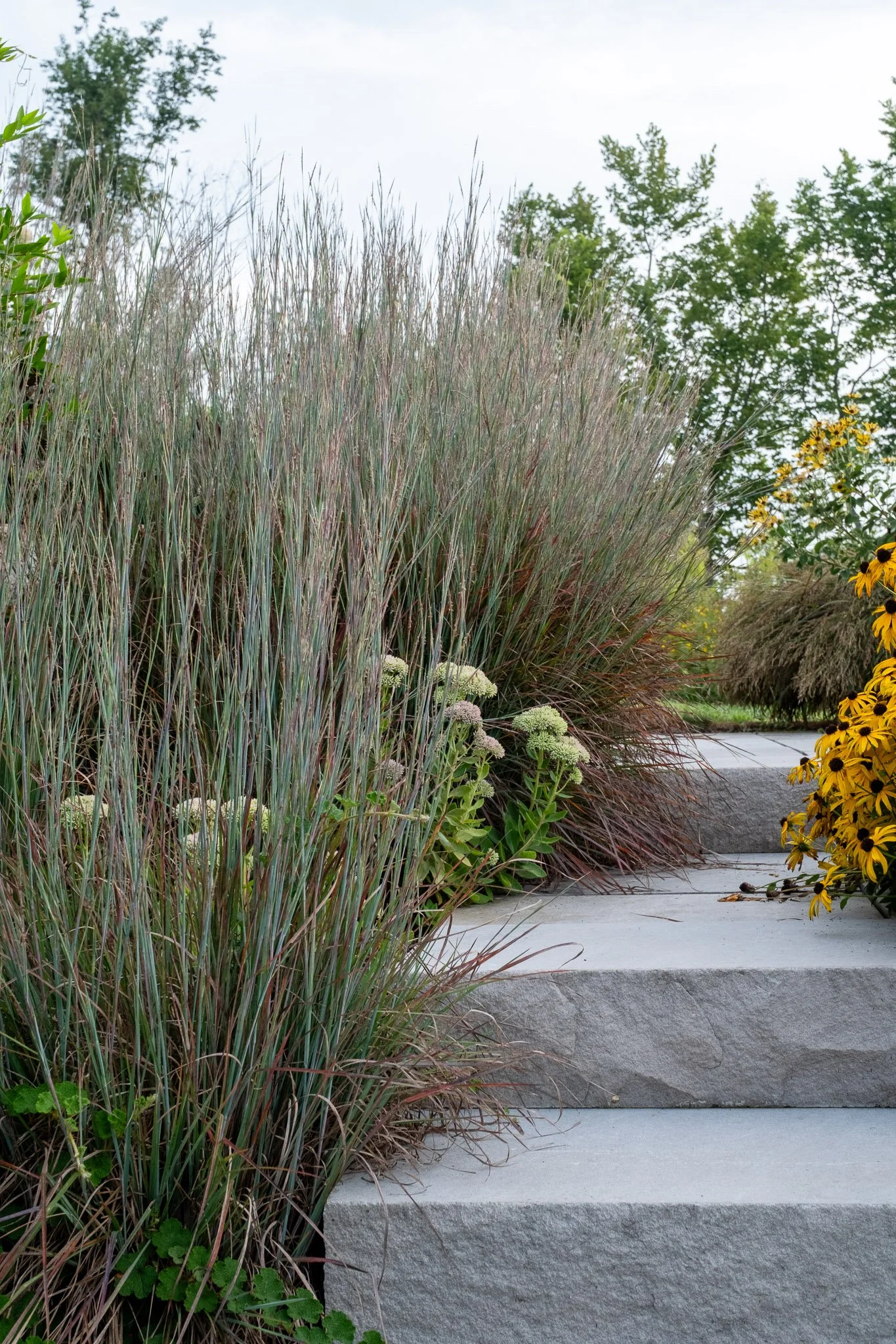 BackyardBounty.Pathway-11.jpg
