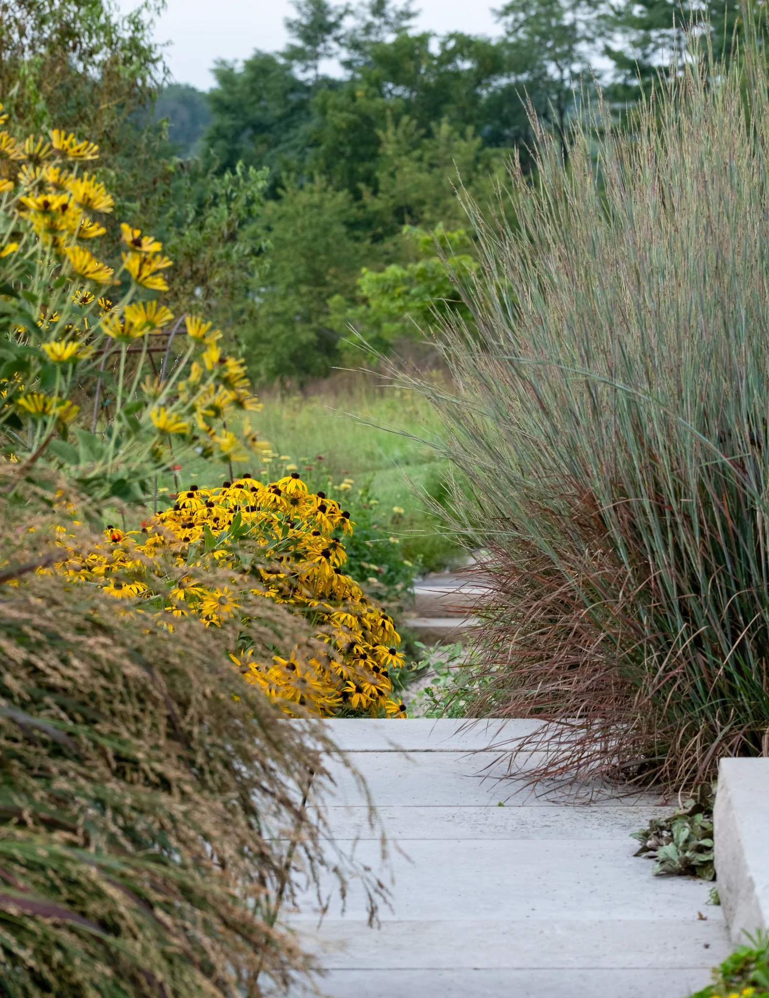 BackyardBounty.grasses-23.jpg