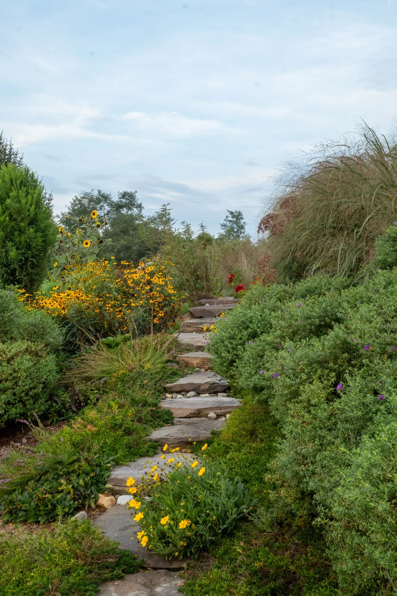 BackyardBounty.Pathway-14.jpg