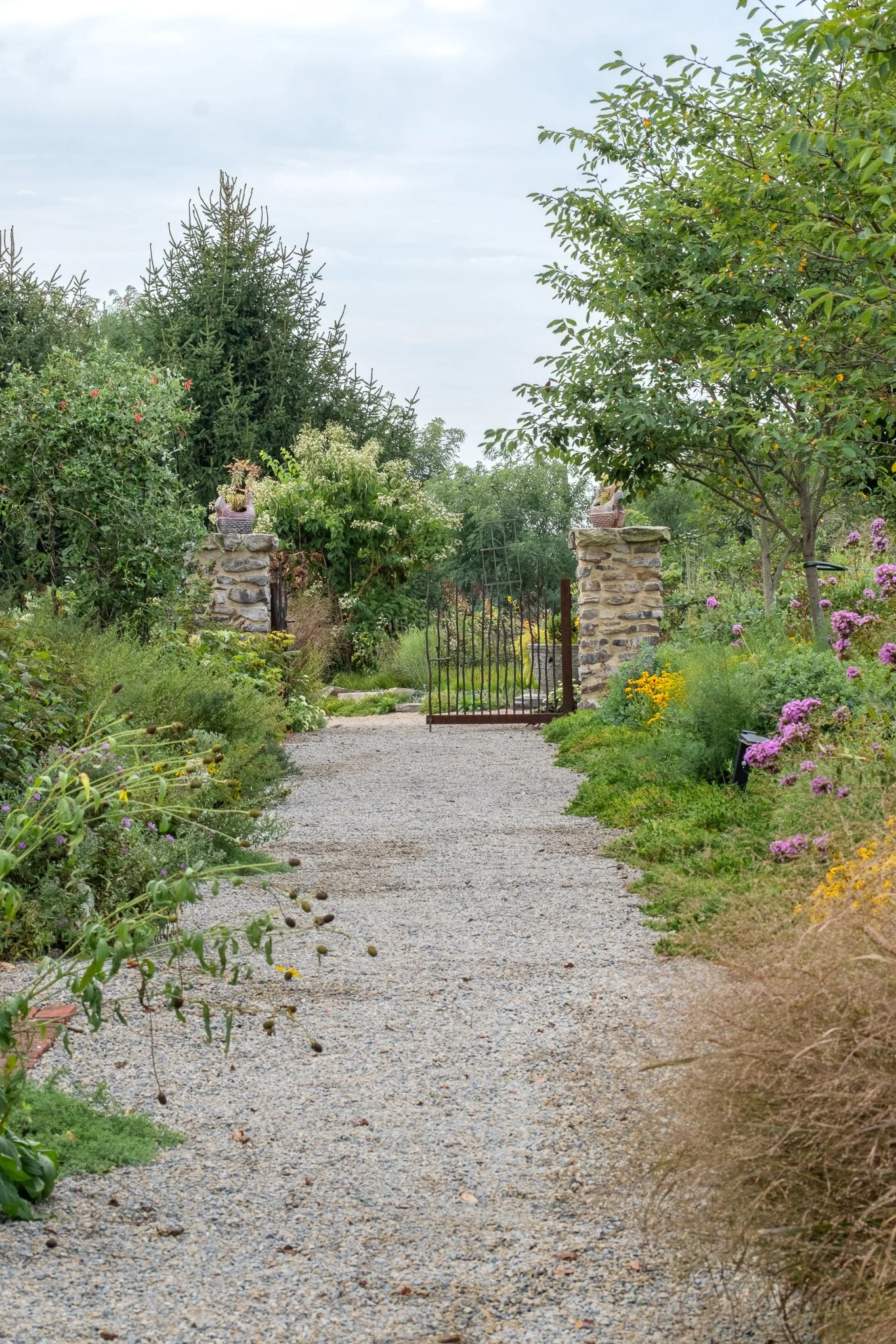 BackyardBounty.Pathway-4.jpg