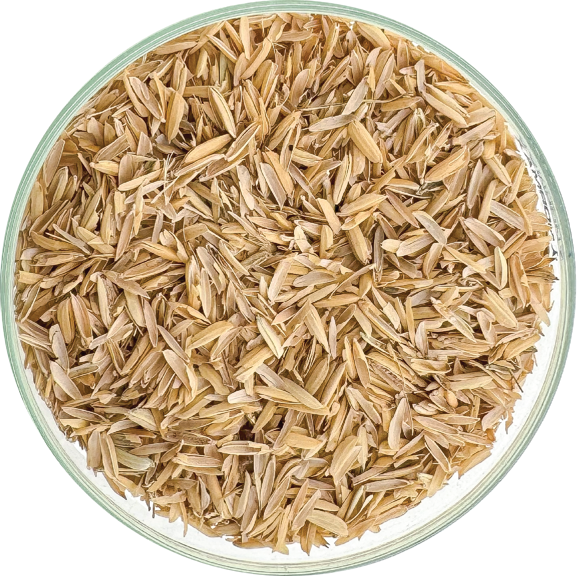 rice husks.png