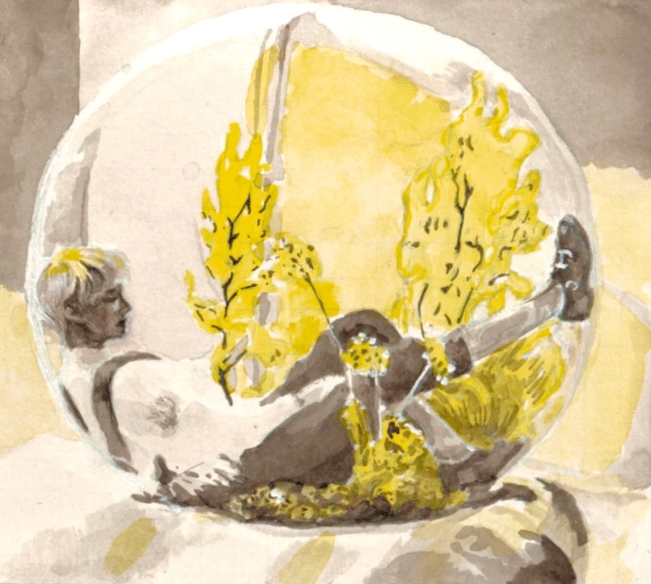 Image12.jpeg