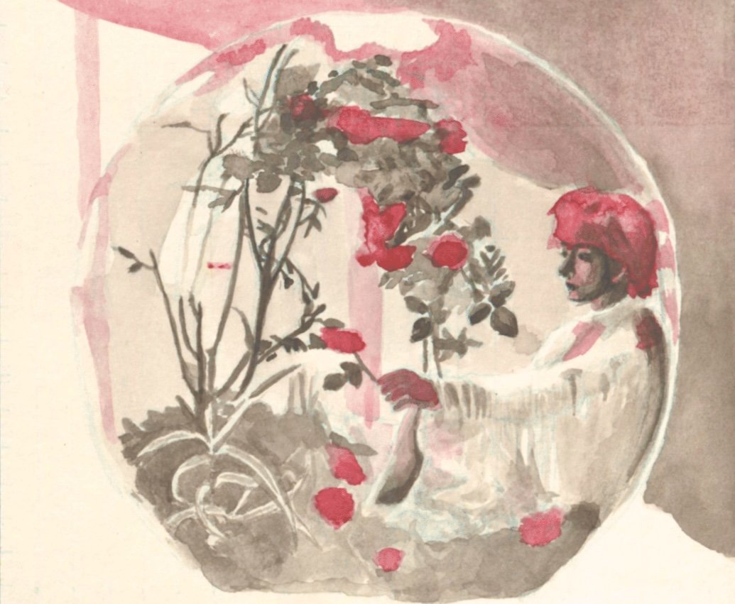 Image13.jpeg