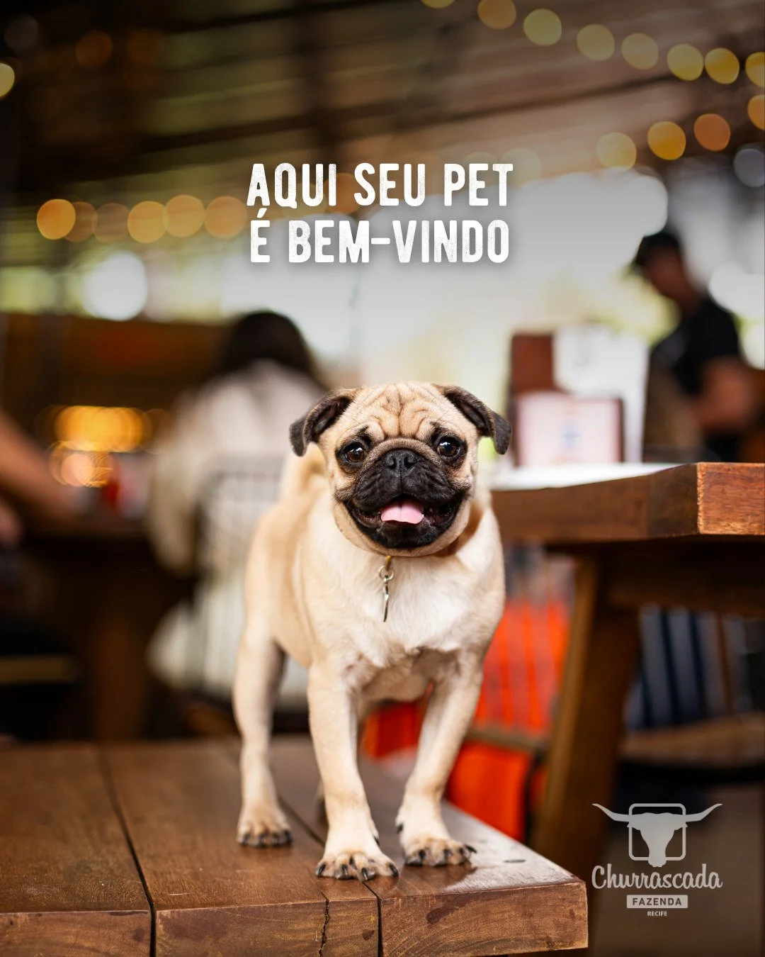 Seu pet tamb&eacute;m faz parte da resenha na Churrascada.

Traga seu melhor amigo para curtir a Fazenda com voc&ecirc; e aproveitar cada momento na nossa &aacute;rea pet friendly. 🐶

#FazendaChurrascada #Recife #PetFriendly #Churrasco #EncontrosQue