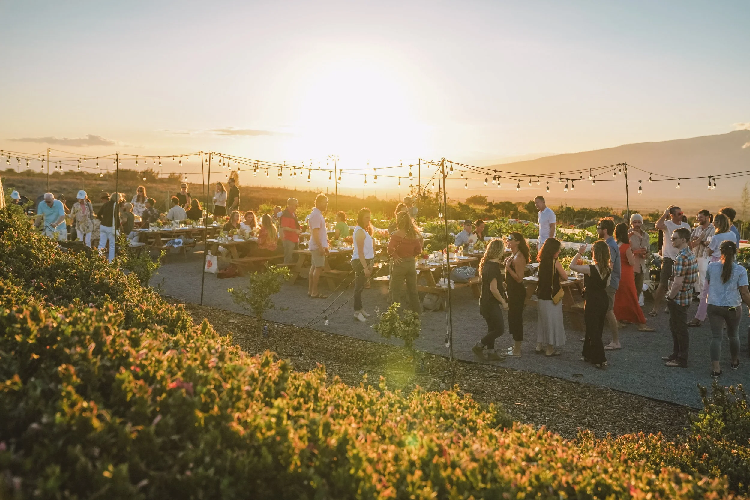2025 Annual Farm Dinner