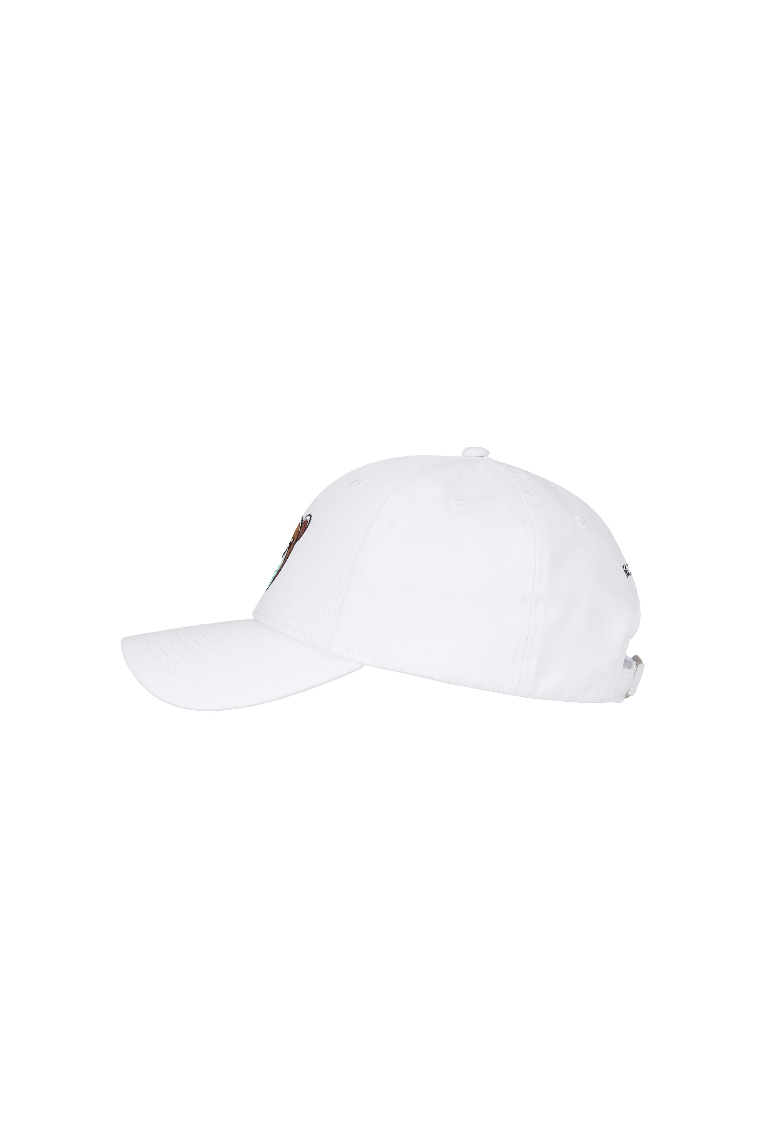 Cap_3.jpg