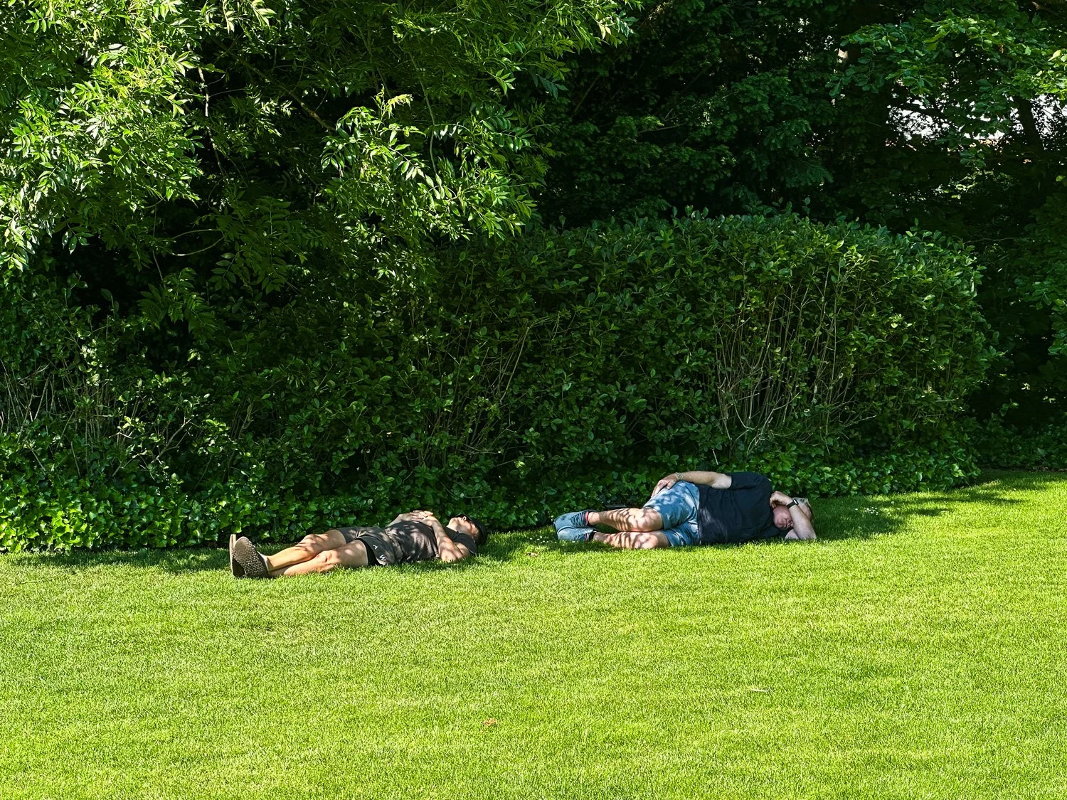 IMG_7760sm.jpg