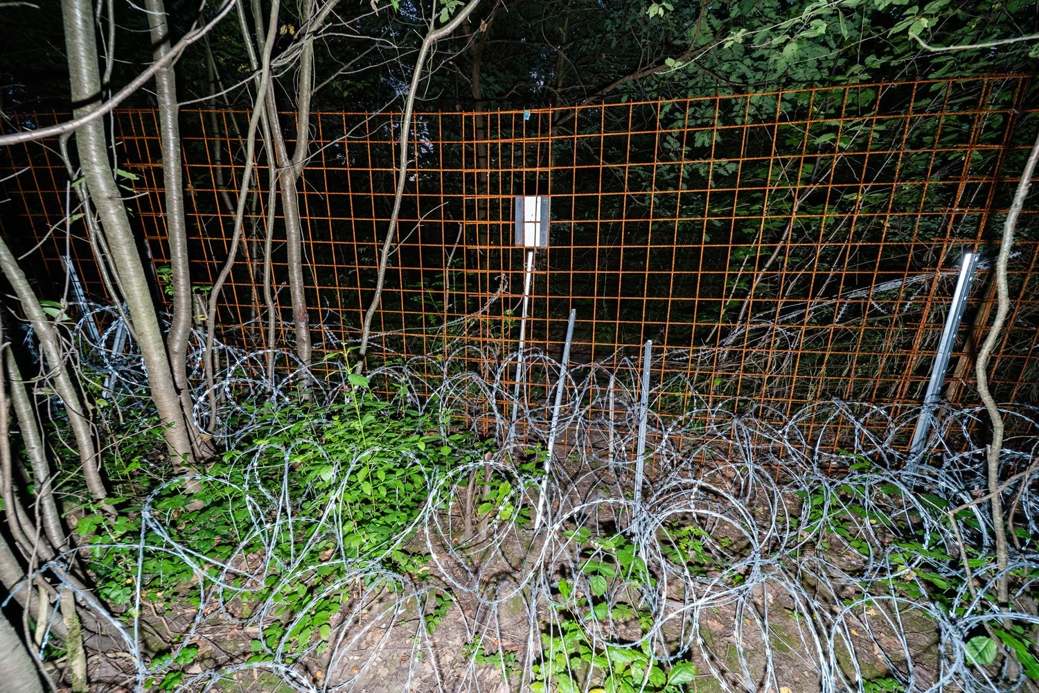 IMG04995sm.jpg