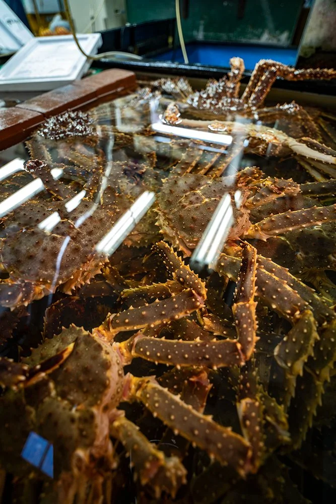 _IMG0539small Kopie.jpg