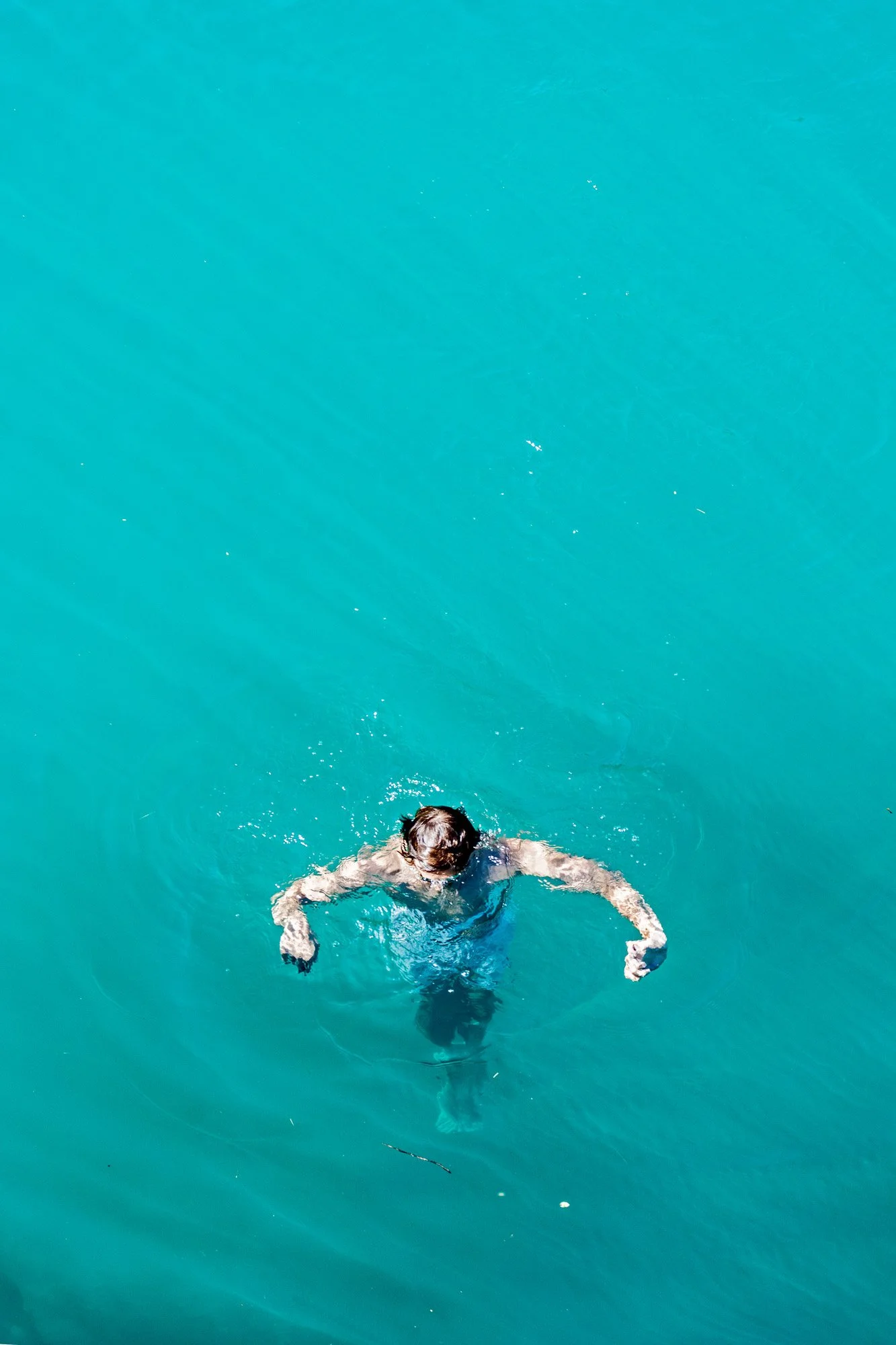IMG03897fl.jpg