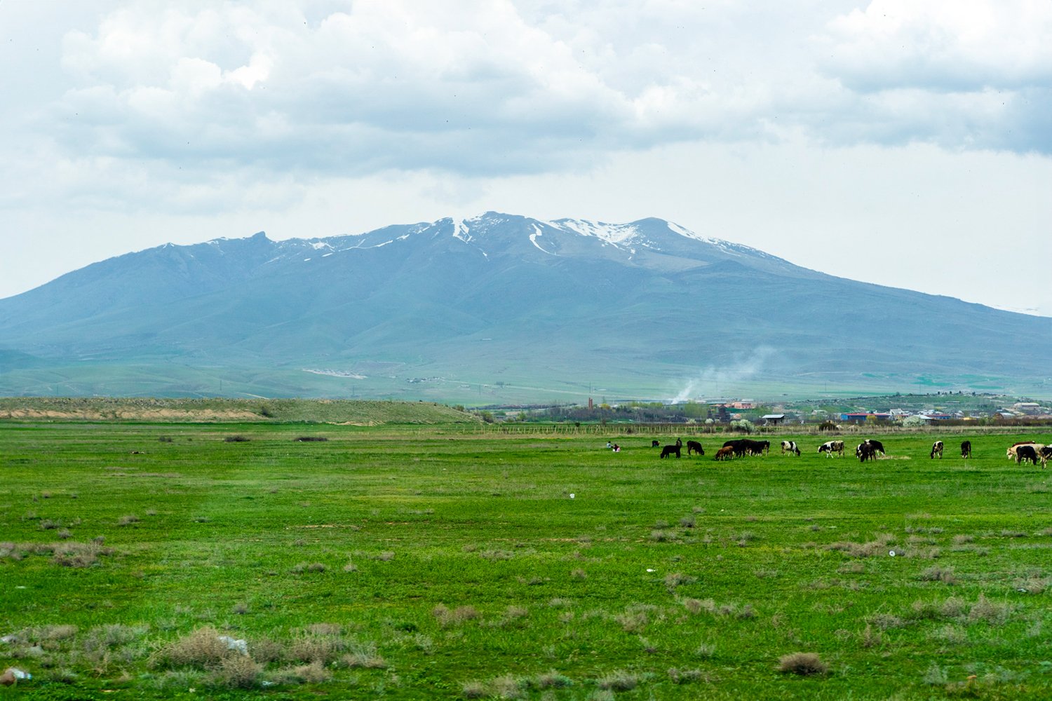 IMG00377sm.jpg