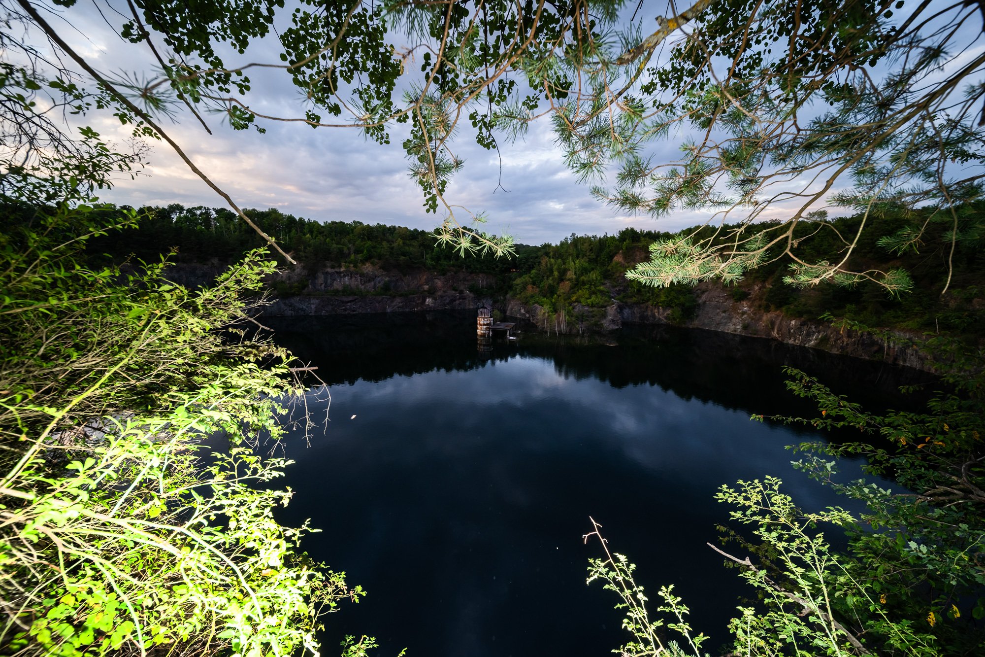 IMG04992fl.jpg