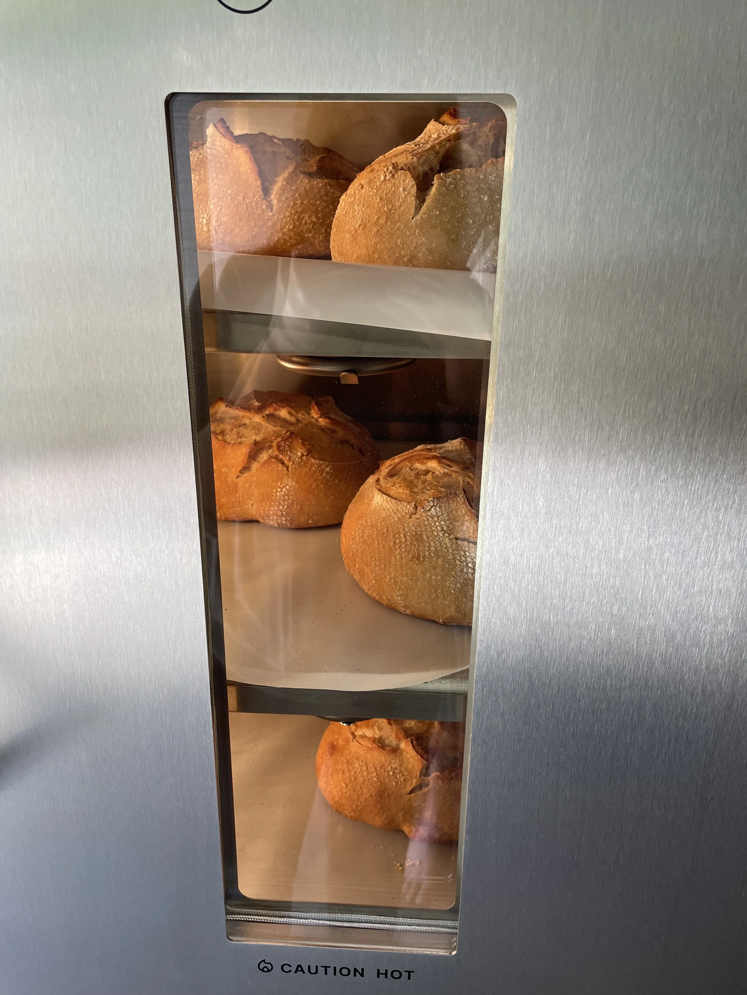 Four baked bread rolls inside a bread warmer display case.
