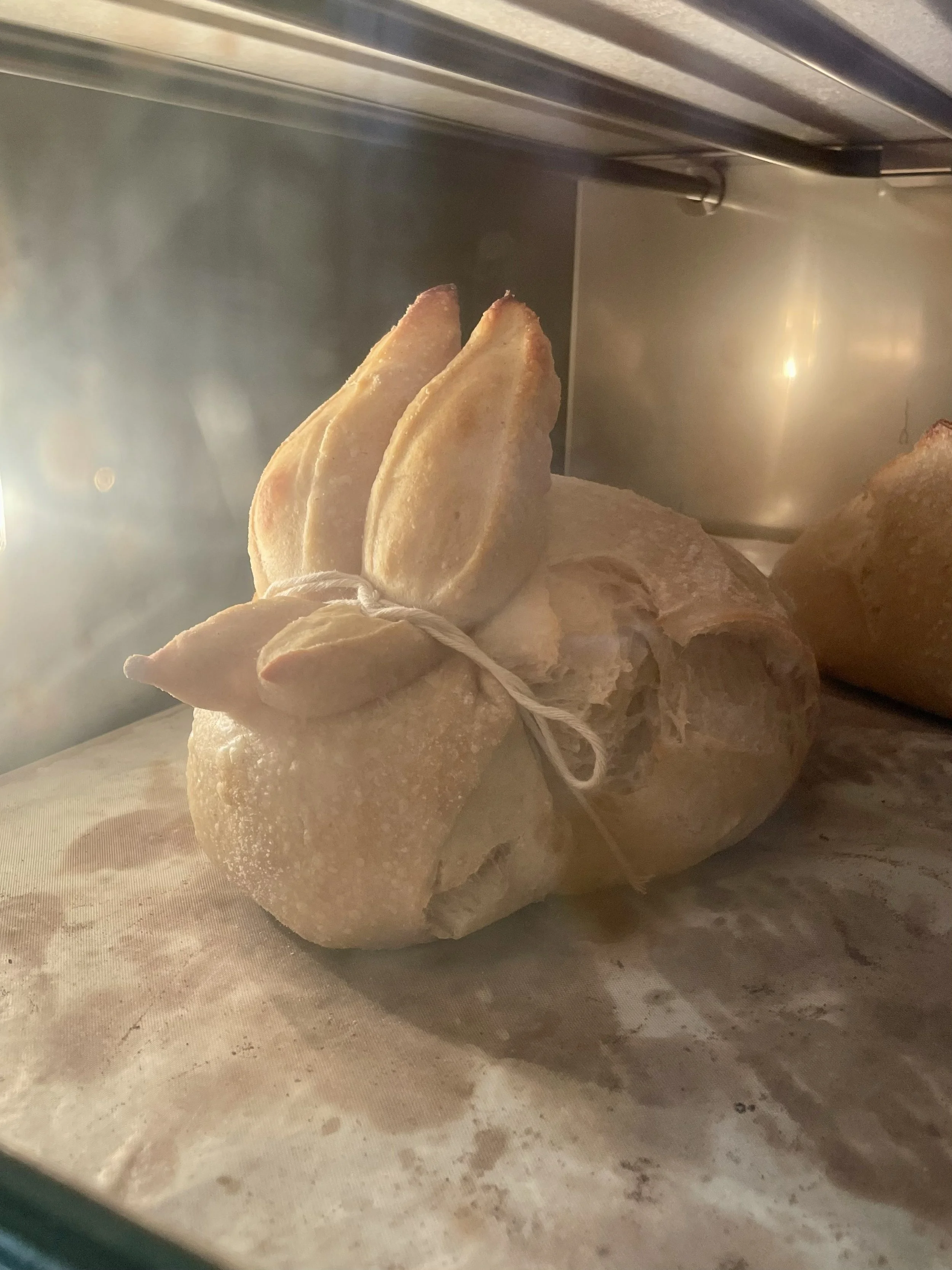 Bread rising in a bread proofing basket inside an oven.