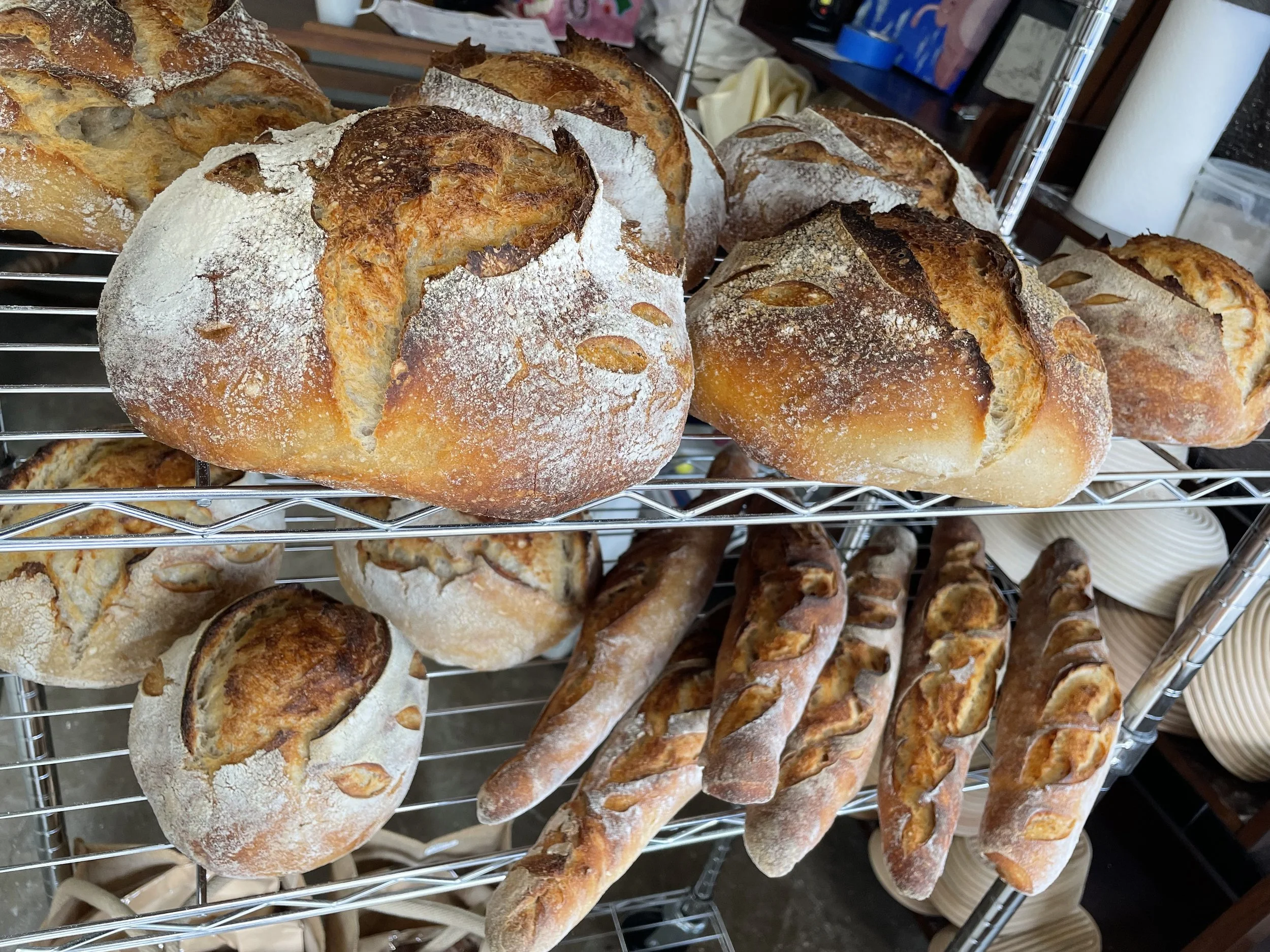 Several freshly baked bread loaves with a golden brown crust and powdered sugar on top, displayed on a metal rack at a bakery.