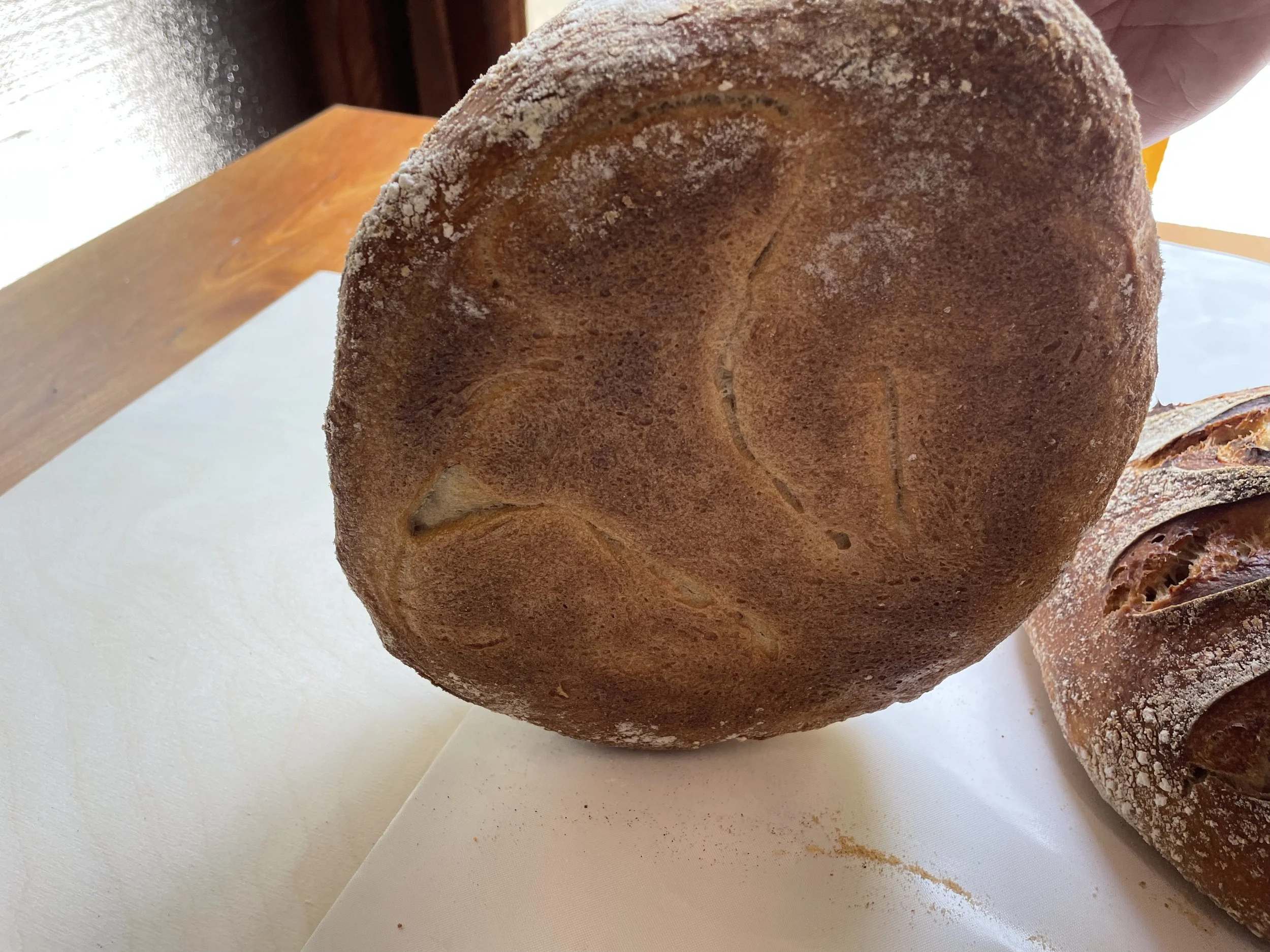 Close-up of a freshly baked round loaf of bread with a golden-brown crust and a slightly flour-dusted surface, partially sliced to reveal the soft interior.