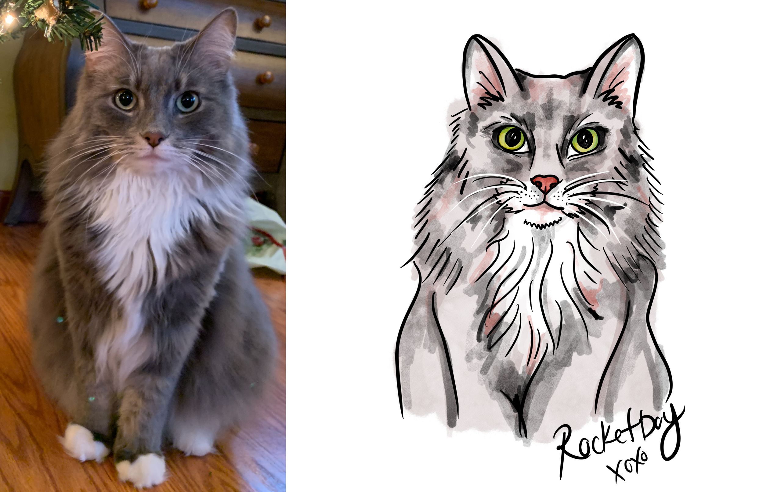 Illustrated portrait of a grey long haired cat