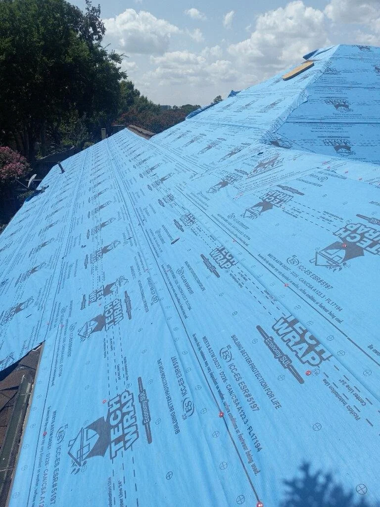 WhatsApp Image 2024-09-03 at 23.24.07_015467f8.jpg