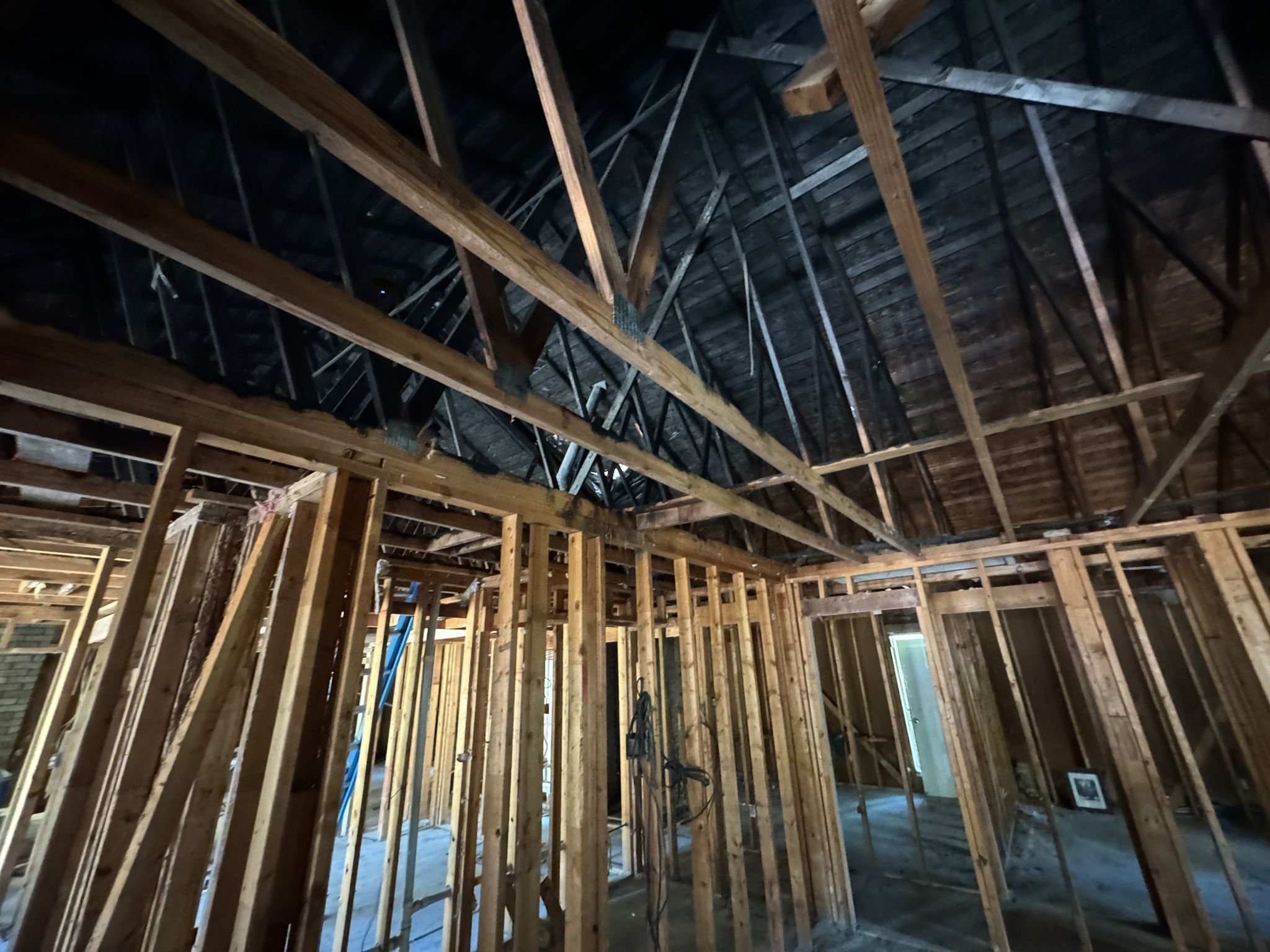 WhatsApp Image 2024-09-03 at 23.15.41_c0212c5b.jpg