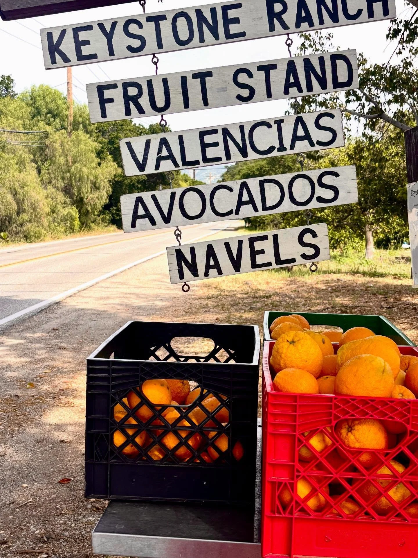 march&rsquo;s little hodgepodge (iphone camera saw it first) 🍊

nashville, tn / ojai, ca

#nashville #ojai #californiavibe #traveldiaries #actorlife