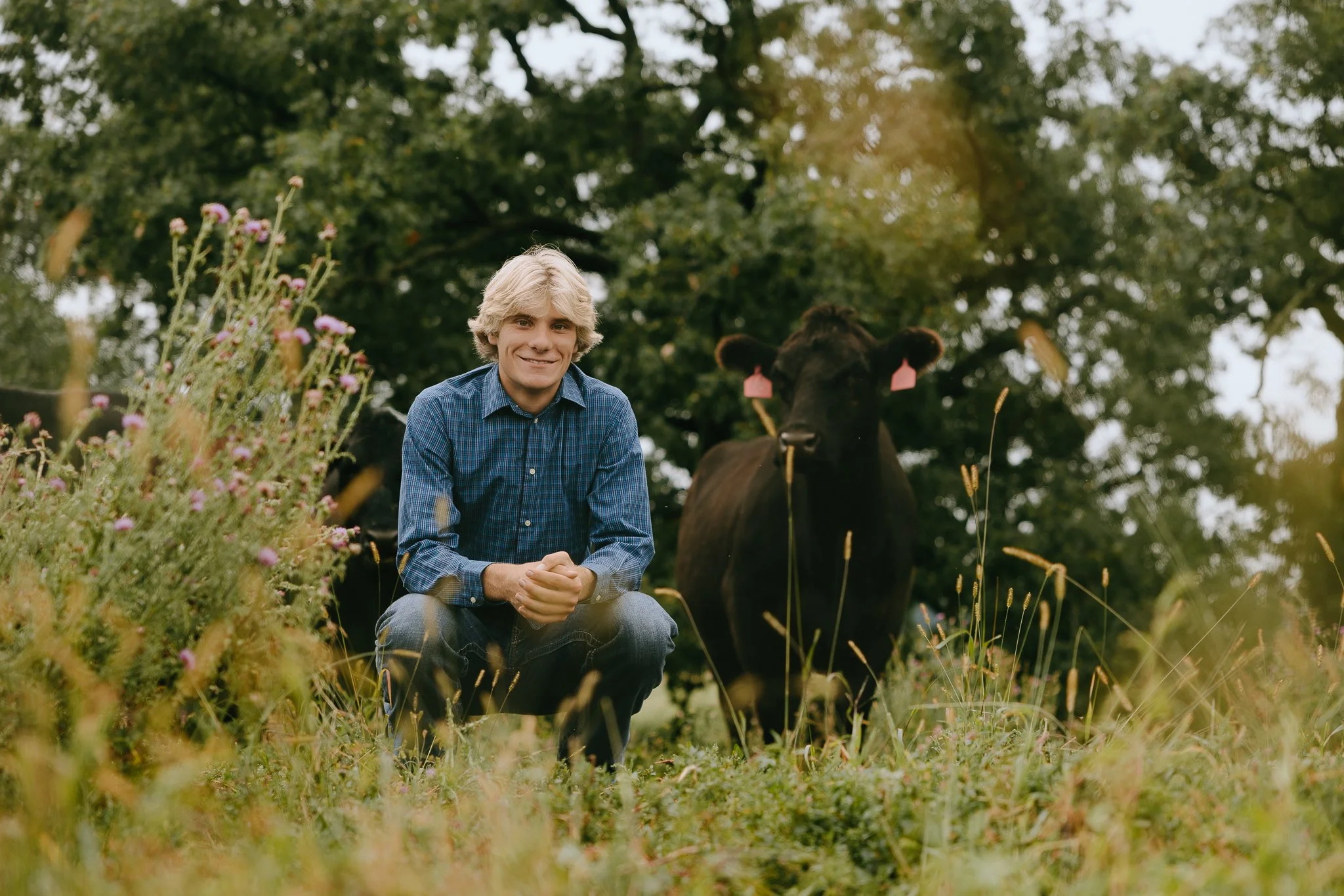 A young man with blonde hair in a blue plaid shirt squatting in a grassy field surrounded by pink flowers, with a large black cow standing nearby and trees in the background.