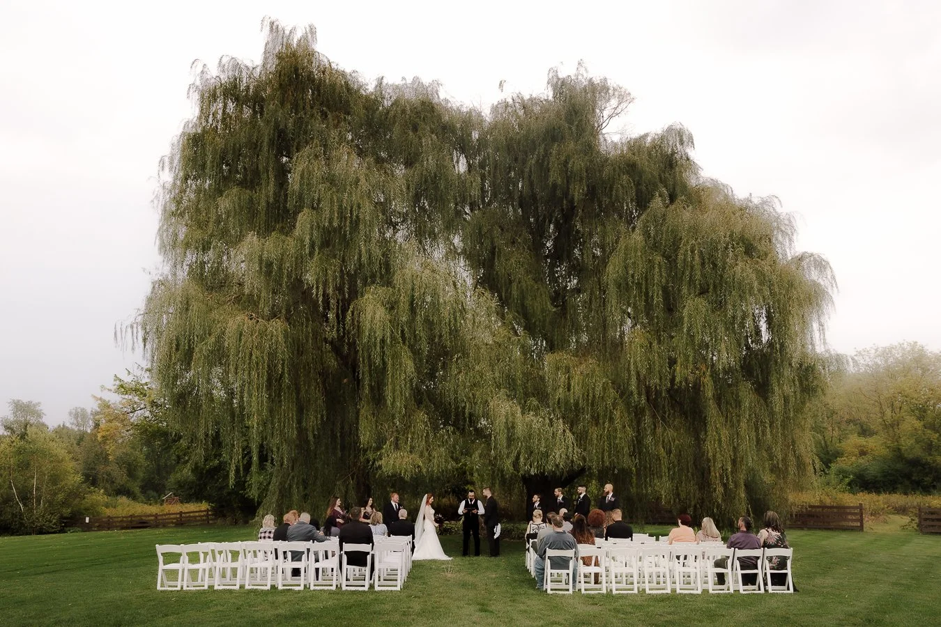 Outdoor wedding ceremony under a large tree with guests seated on white chairs and a priest officiating.
