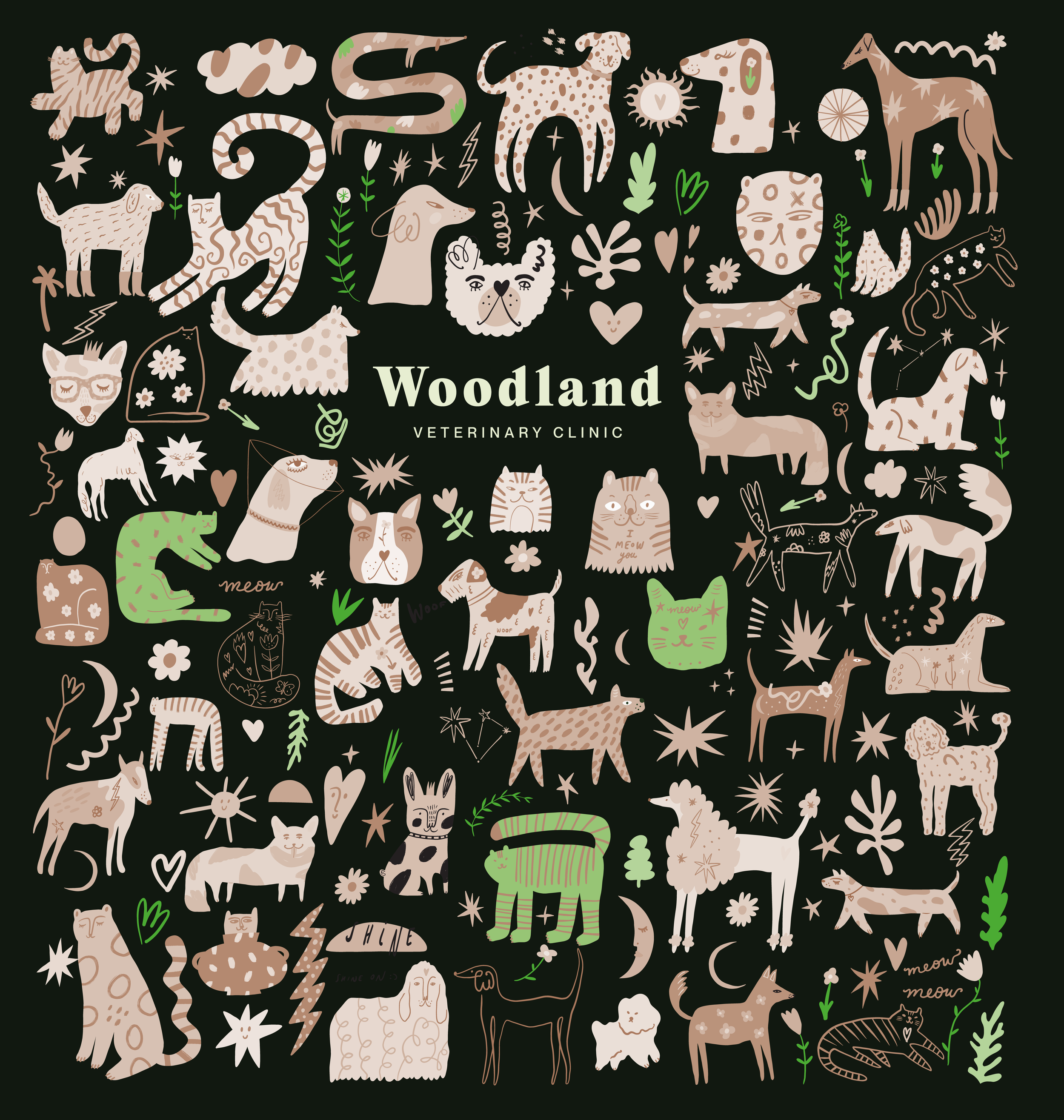 What Makes Vancouver’s Woodland Veterinary Different