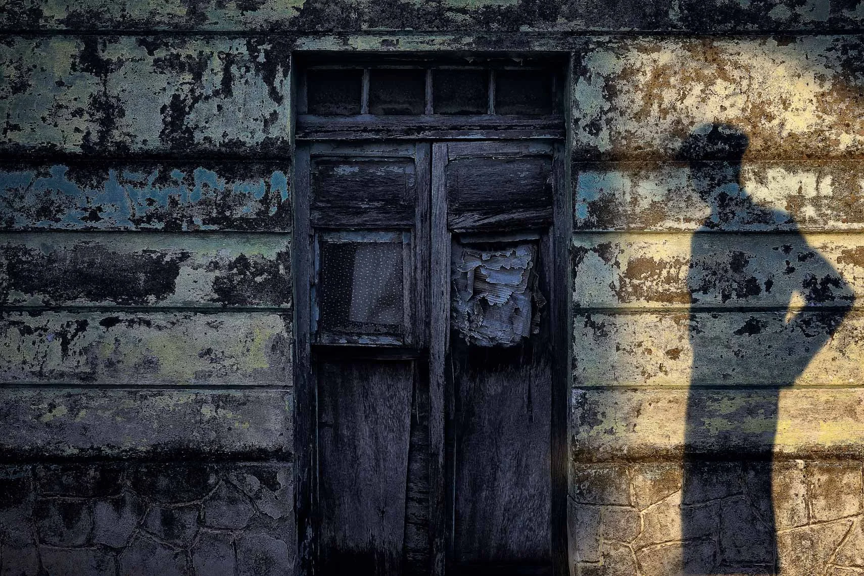 Noir_DSF0170_dark soft 2.jpg