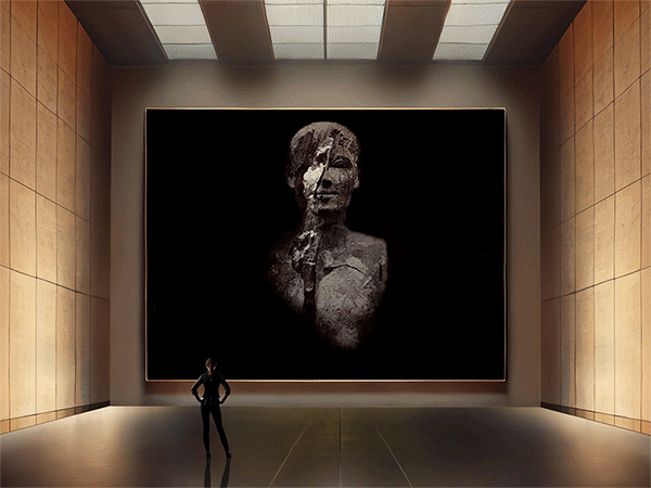 Reflections and highlights