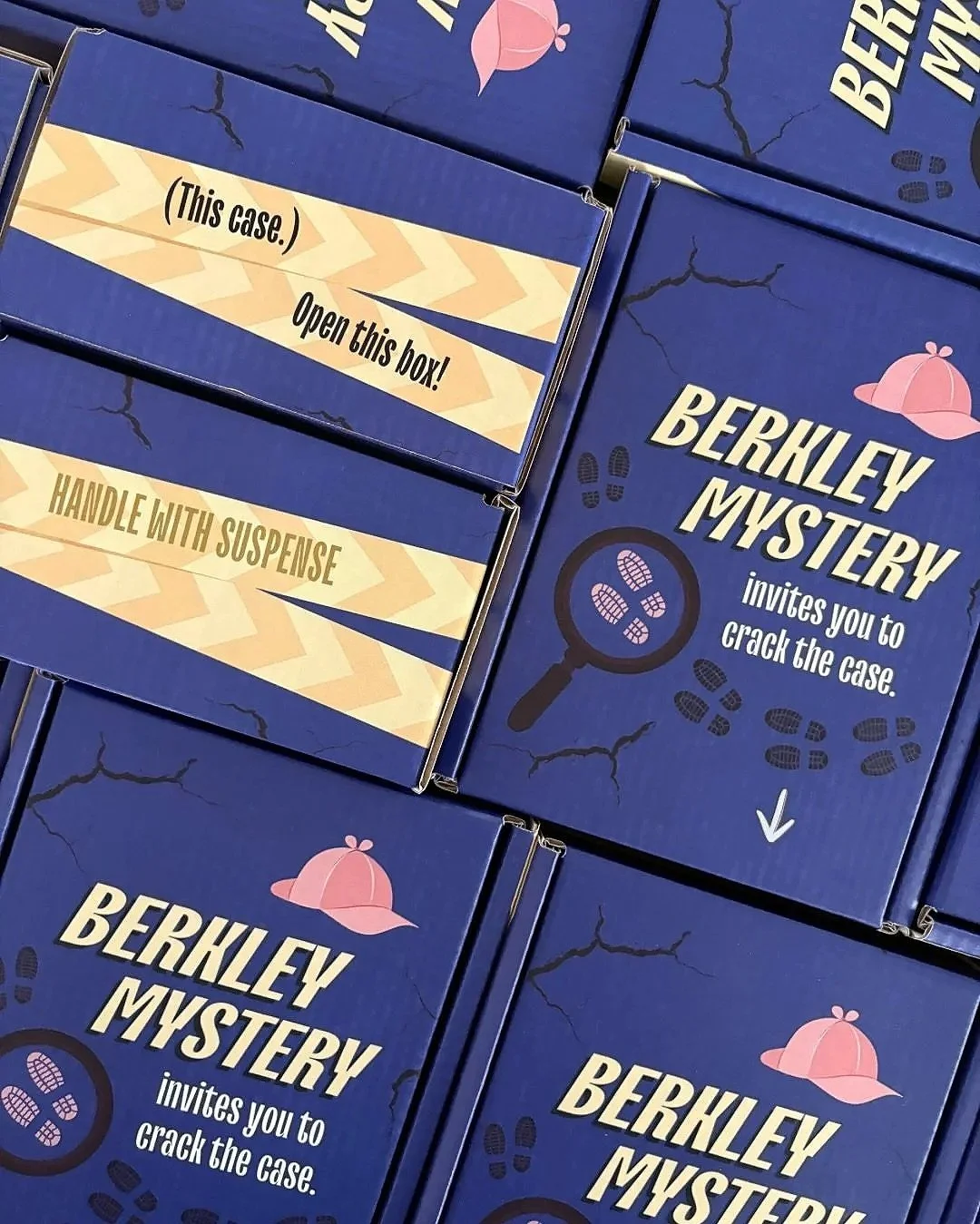Designed mailer boxes for Berkley Mystery May influencer kits featuring exclusive galleys, postcards, and stickers