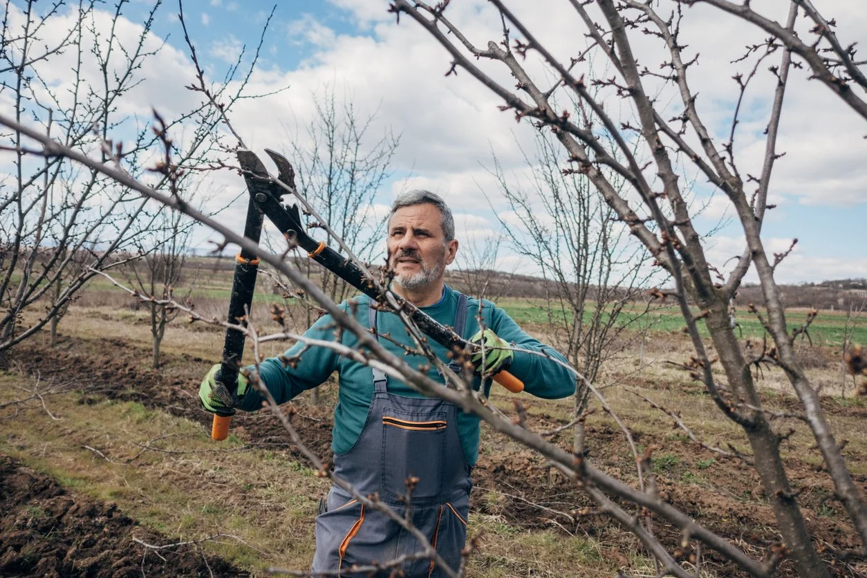 A mean pruning a tree in a field on a cloudy day