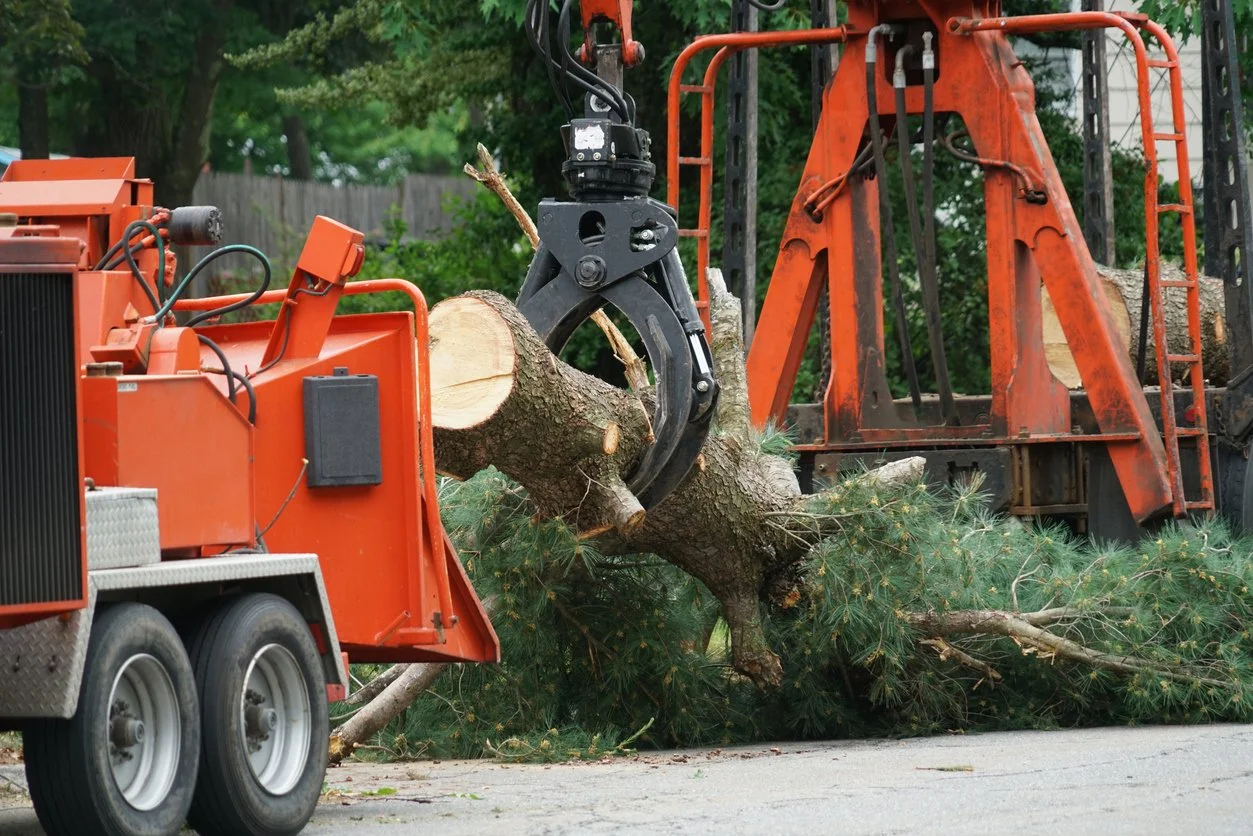 A tree removal service in process with an orange crane and a wood chipper