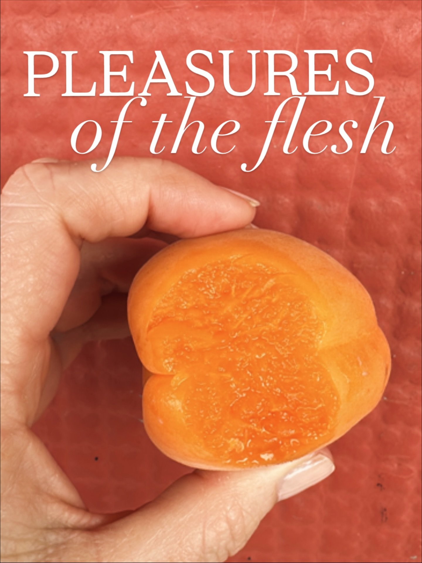 This could be a record &mdash; an A+ apricot in November 😁 (grown in Central Otago, sold at Parklands in Balmoral, $13.99kg)

I generally don&rsquo;t fall for them till well into January because early ones tend to be insipid. Something about these o