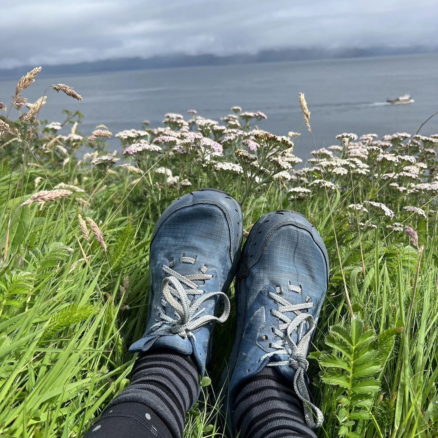 A pair of worn blue hiking shoes rest in tall grass and wildflowers overlooking a calm sea with a distant boat and misty hills. Coastal hikes and slow travel moments like this reflect emerging UK travel trends focused on nature and mindfulness.