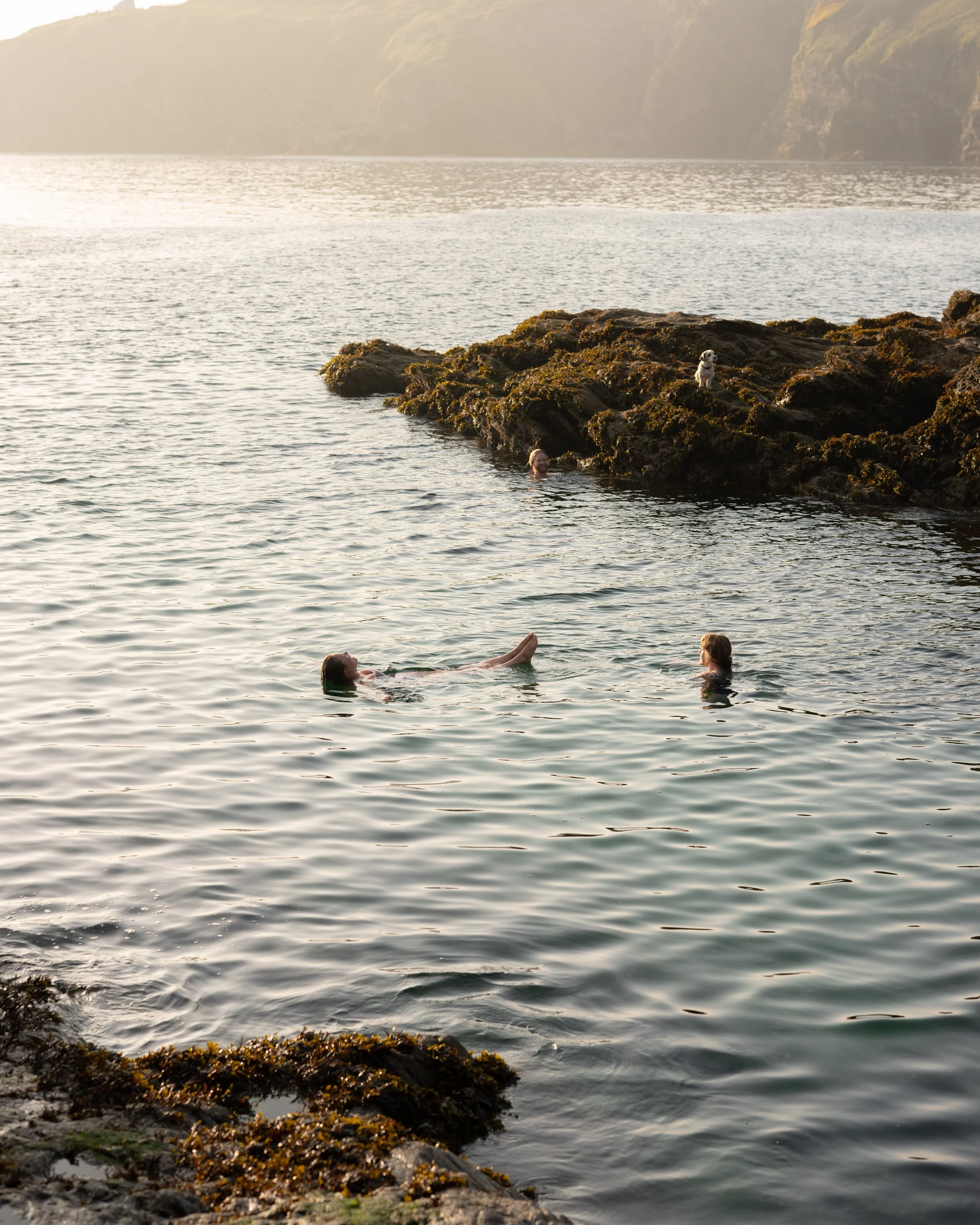 People swimming in the ocean near rocky shoreline with moss and seaweed, with cliffs in the background under bright sky.