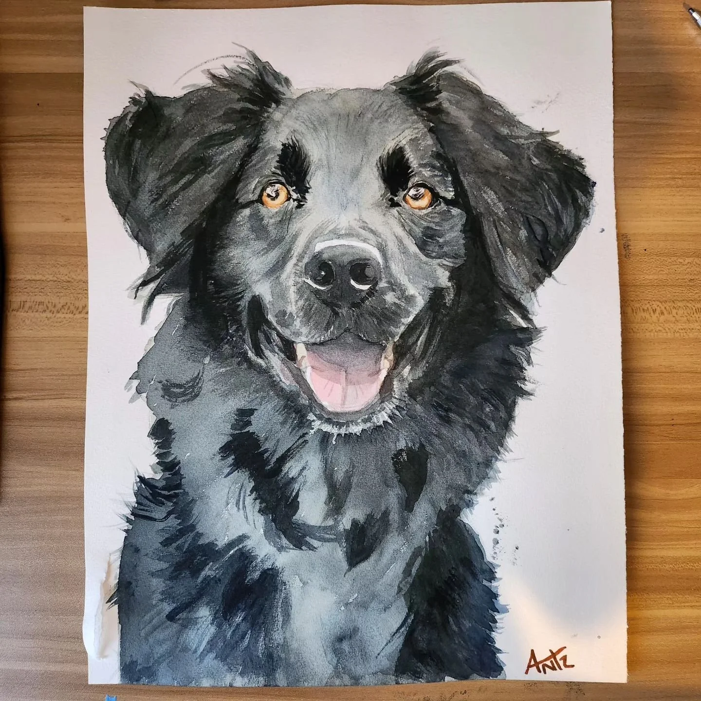 RUFF

My first bigish water colour, 
The last slide is a smaller trial run. 

$15 for prints.

Didn't use any black only indigo and burnt sienna, (plus red and ochre for the mouth and eyes), but still not too happy with the hue variation. Might as we