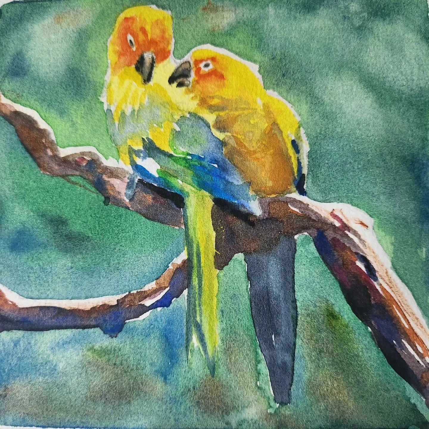 Love birds, 
A tutorial by @e_olson_art
Getting better at Watercolours, happy to get back to traditional stuff. 

Getting ready to sell some work this year.

#lovebirds
#watercolors 
#birdart 
#lovebird
#watercolouranimals 
#watercolourtutorial 
#emi