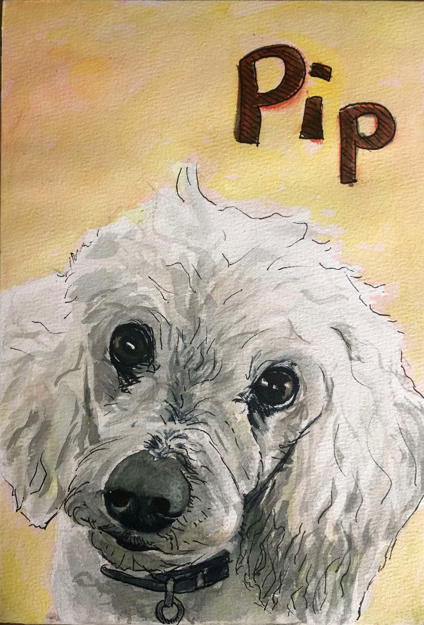 Added some pen to make it pop.