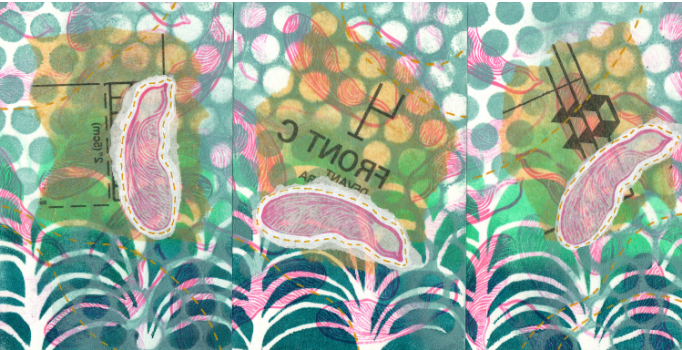 August Printable: Maple Seed Postcards