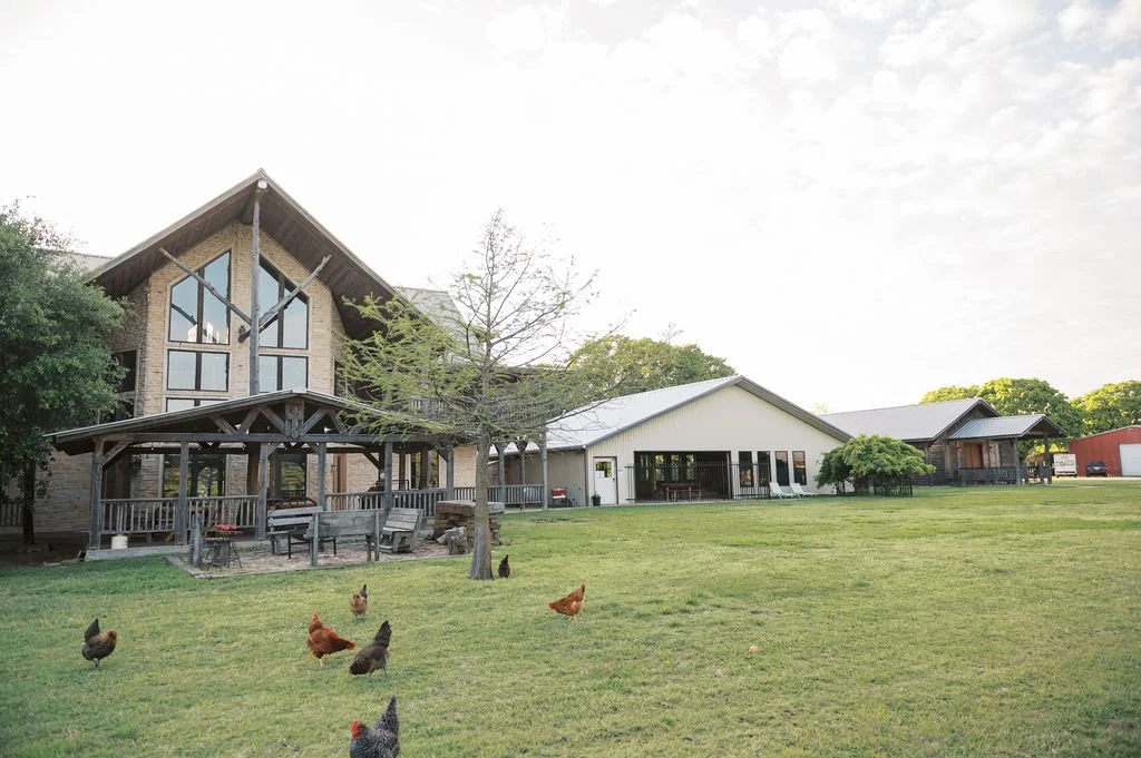 Our cabins and several chickens roaming on the grass in front at Peninsula Ranch in DFW 