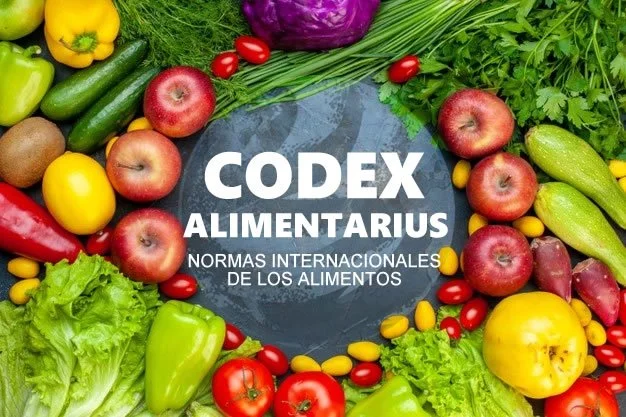 codex-mundial.jpg